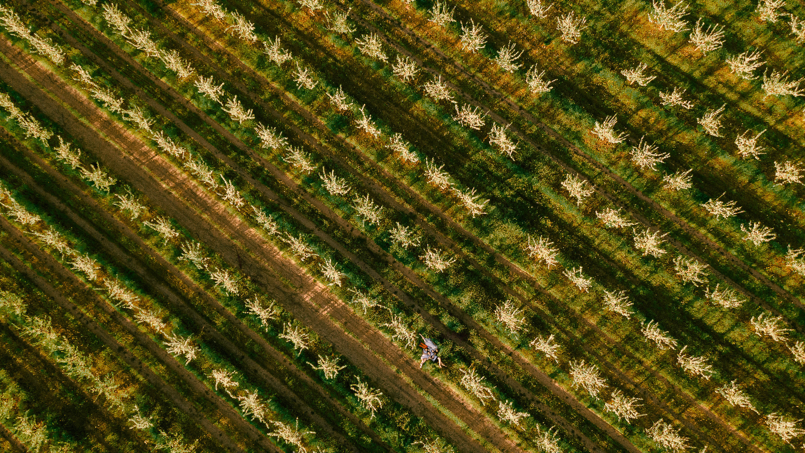 Прогулка по Днестру и саду