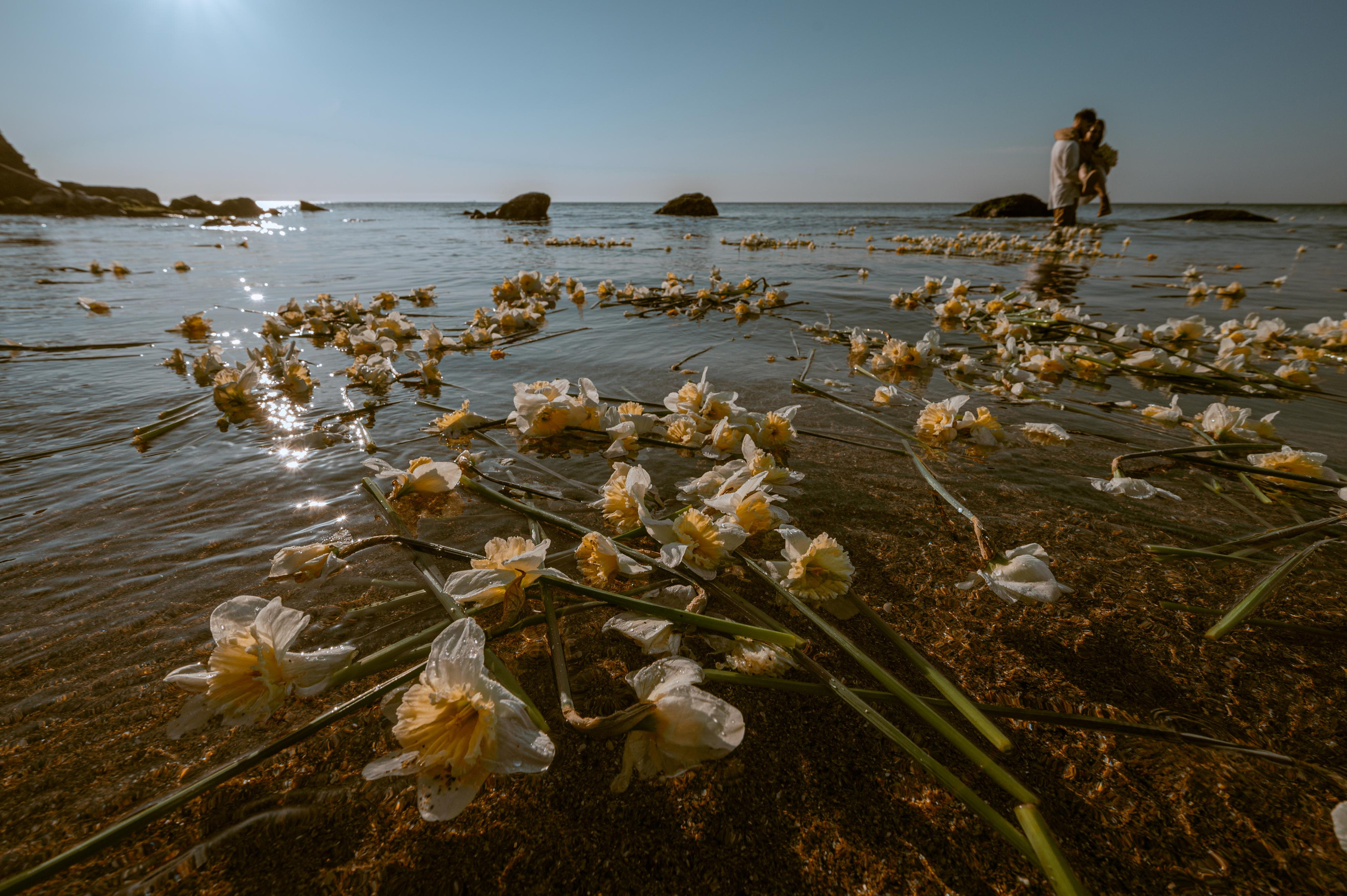 Любовь с нарциссами или рассвет на Фонтанке