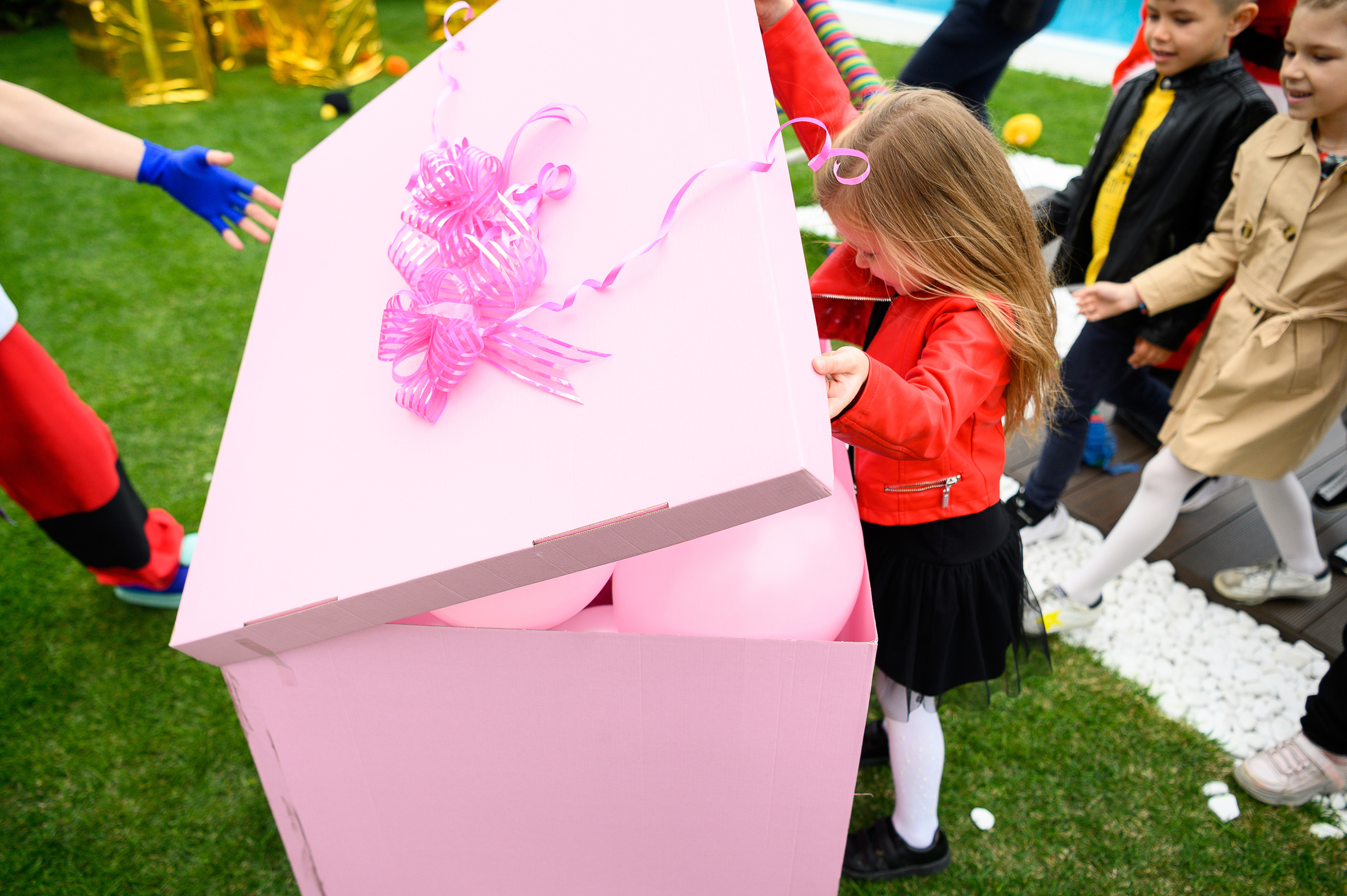 День Рождения Алины