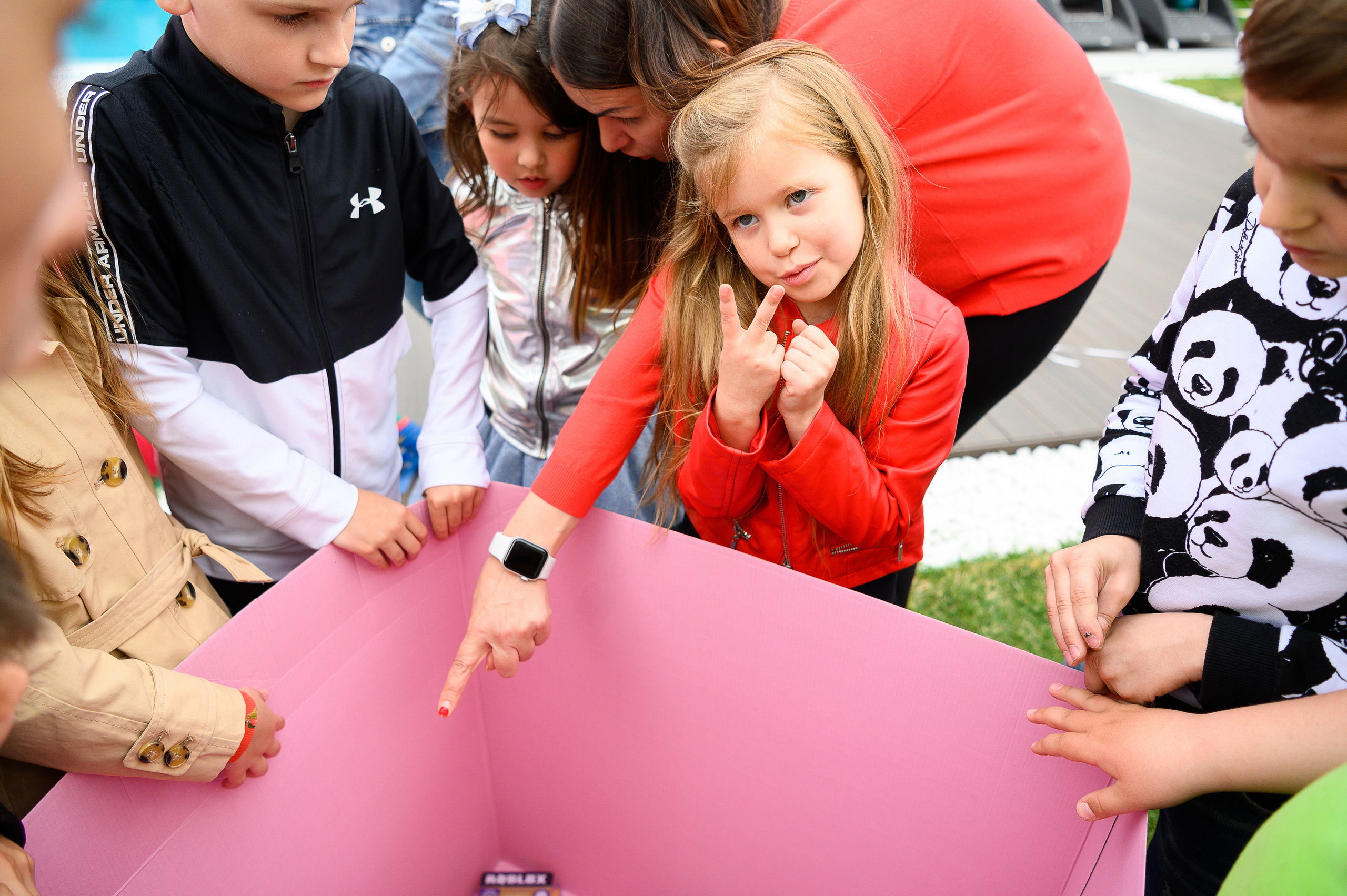 День Рождения Алины