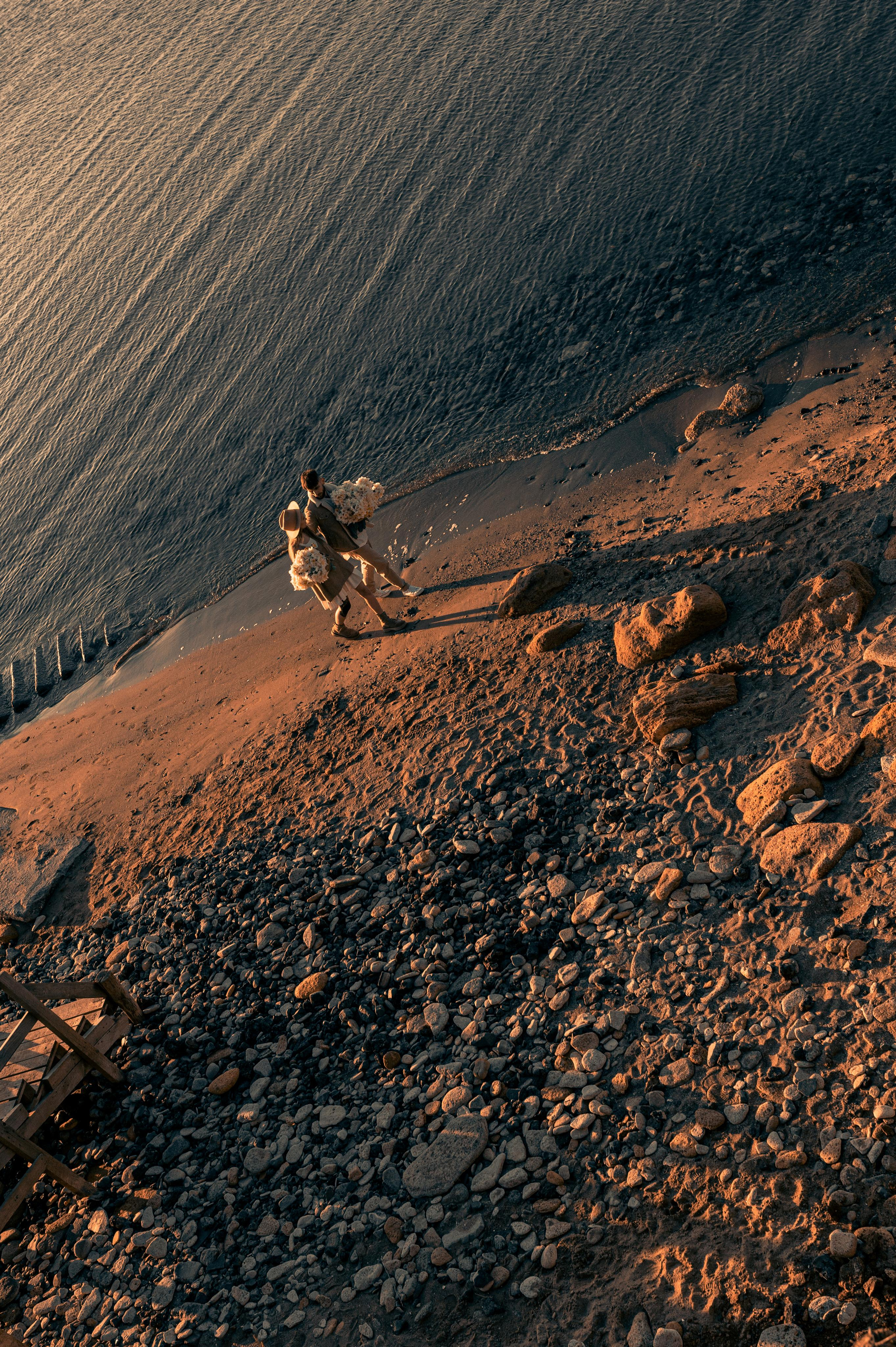 Любовь с нарциссами или рассвет на Фонтанке