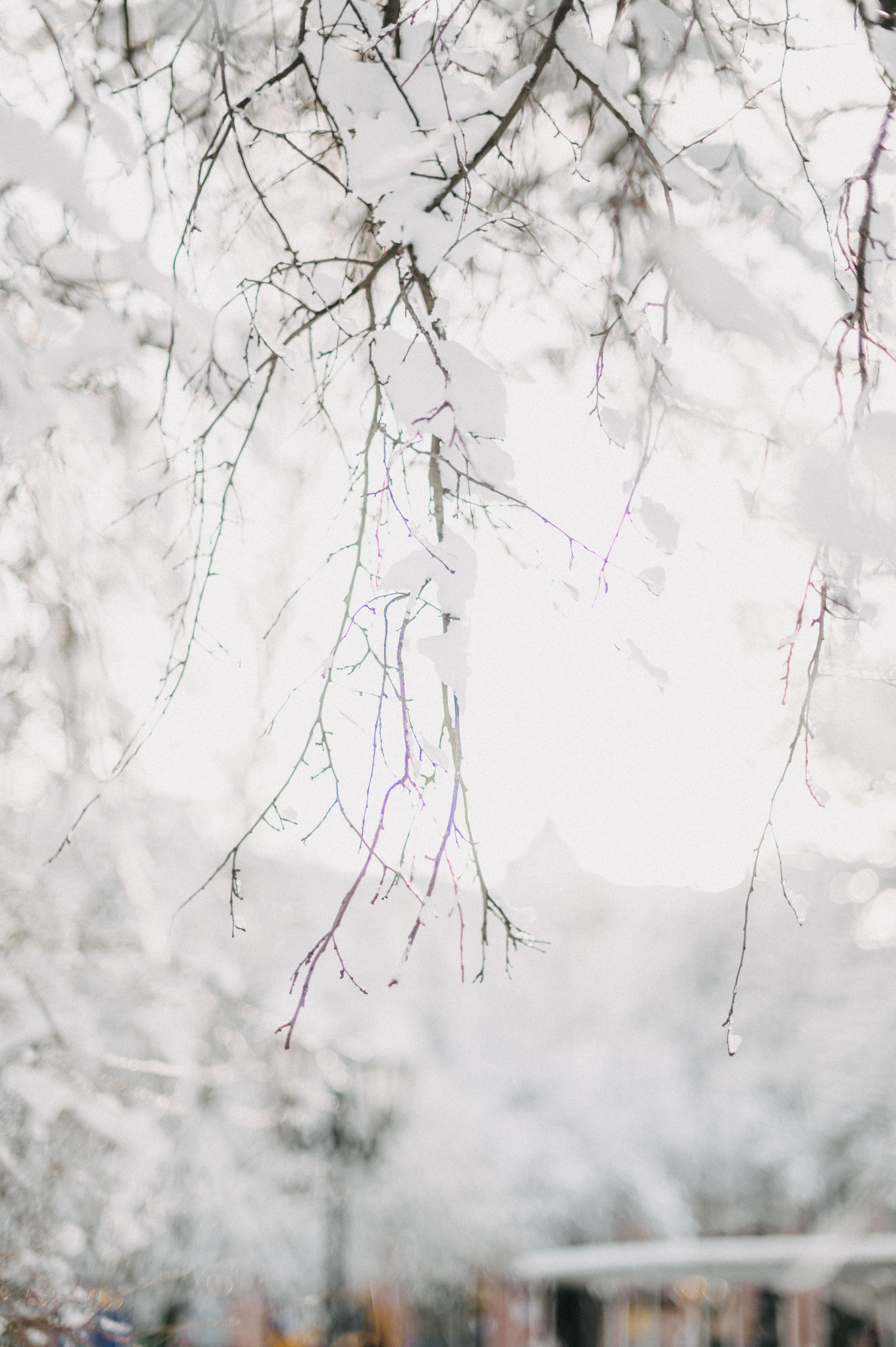 Марина в Зазеркалье