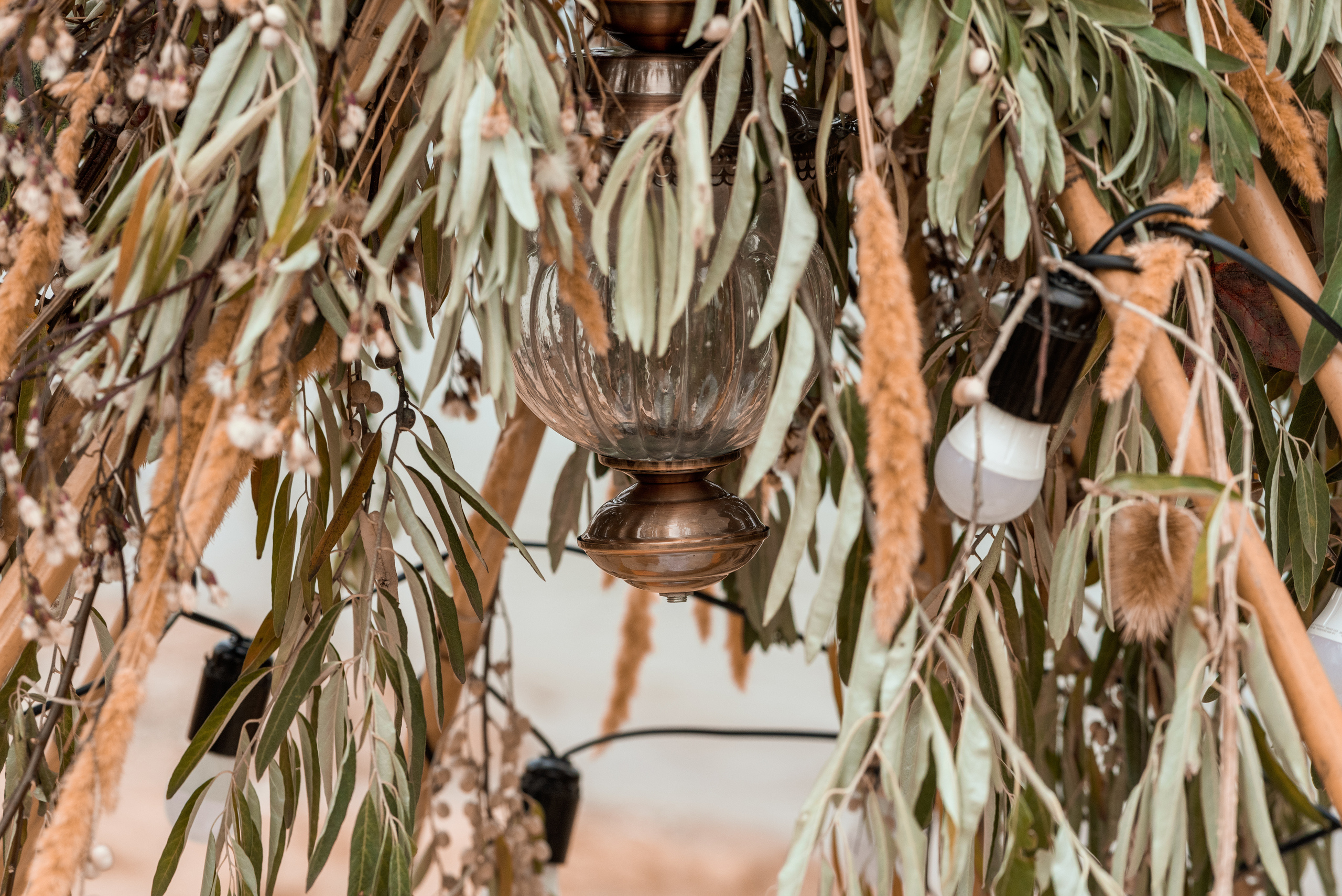 Осенняя прогулка на Фонтанке