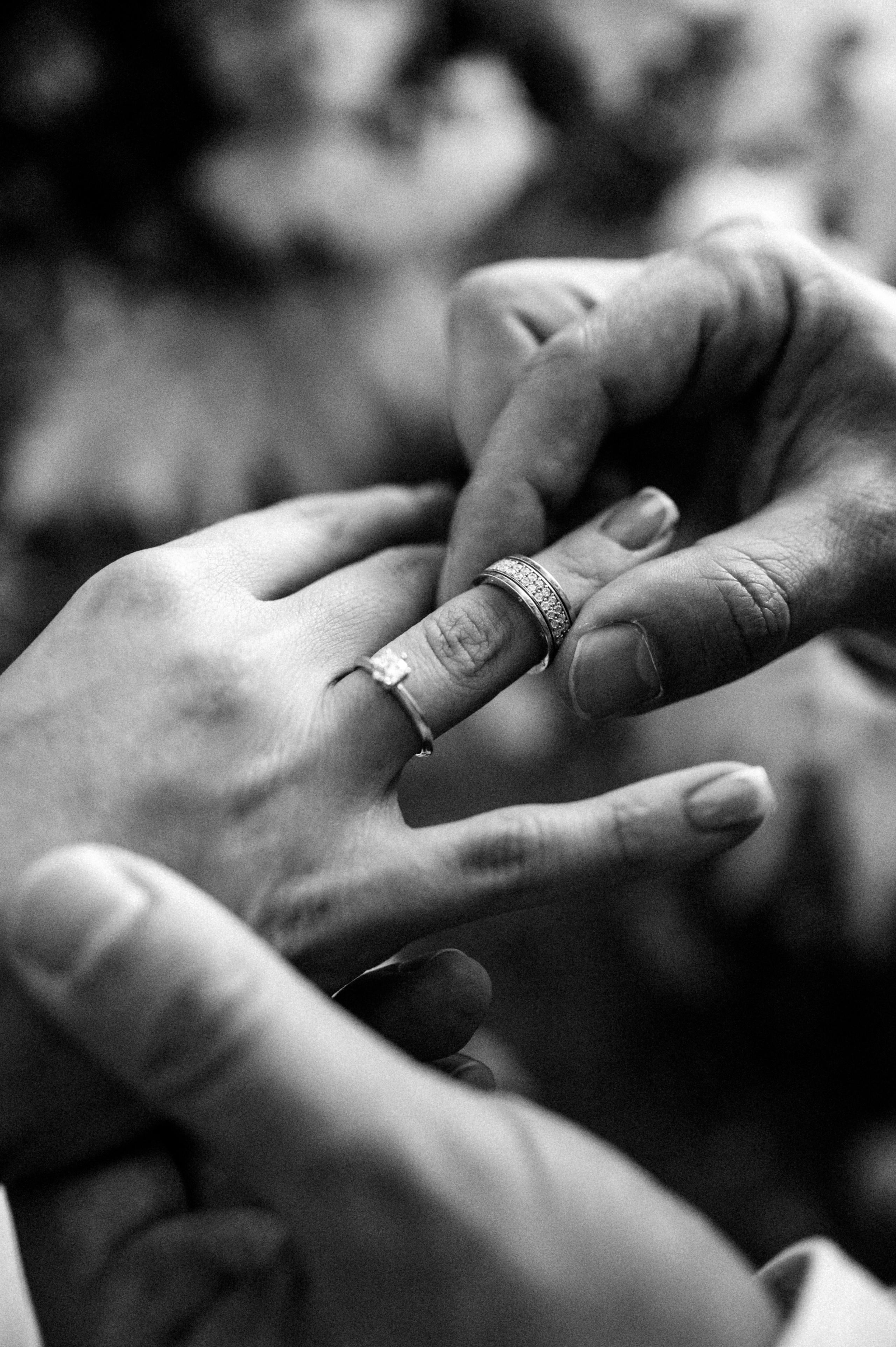 Александр и Алеся