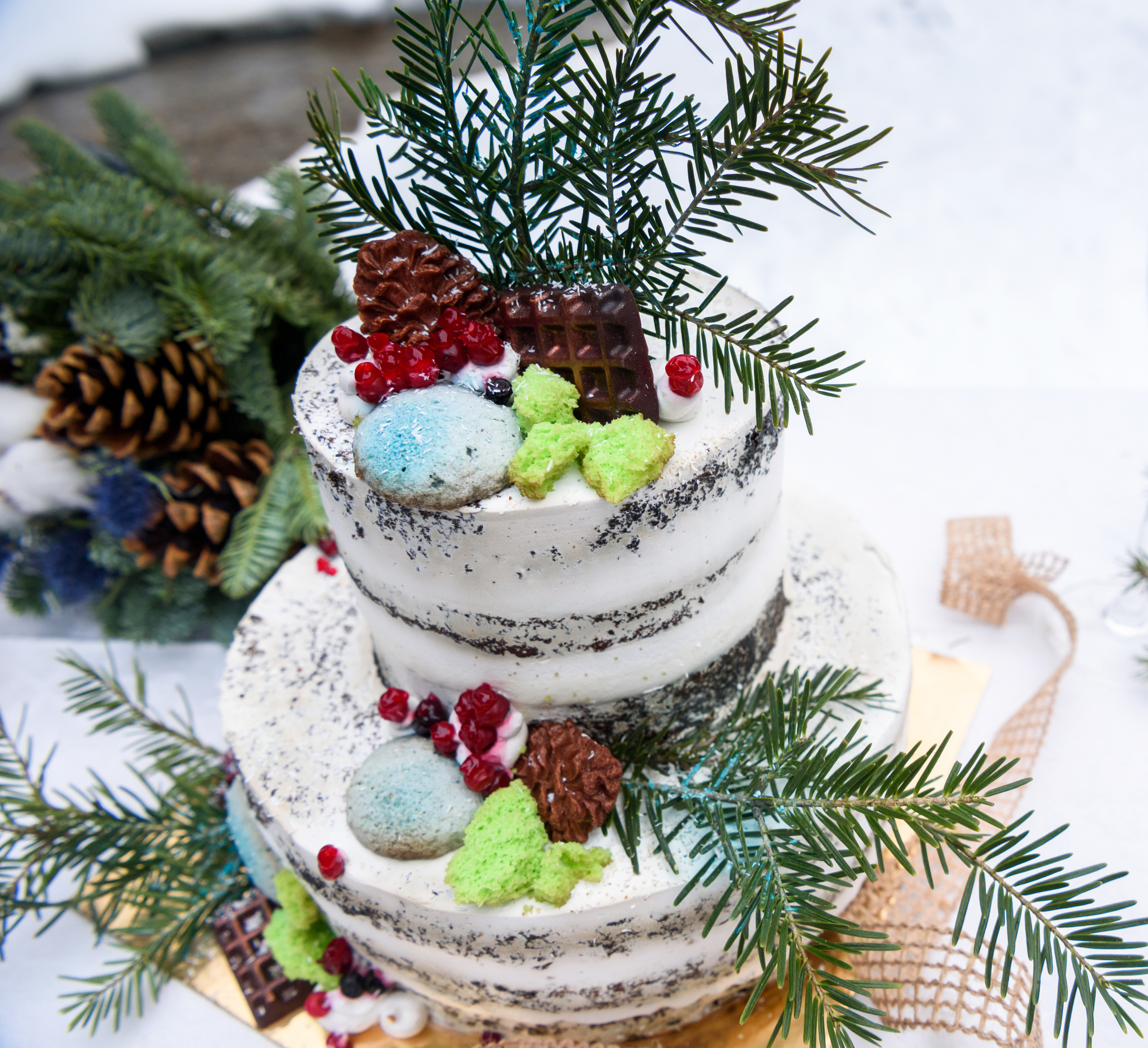 Зимняя свадьба в Карпатах