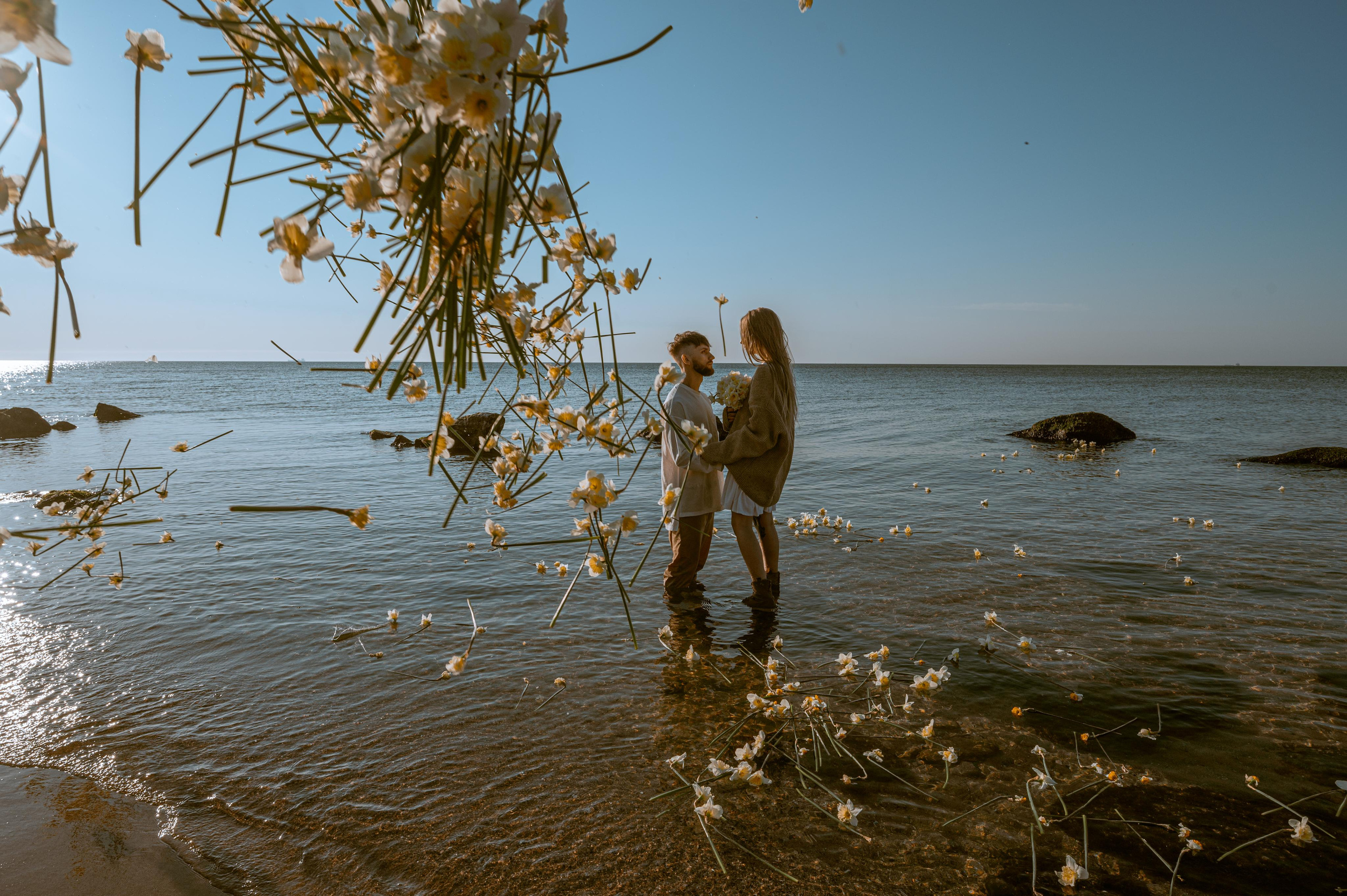 Любовь с нарциссами или рассвет на Фонтанке