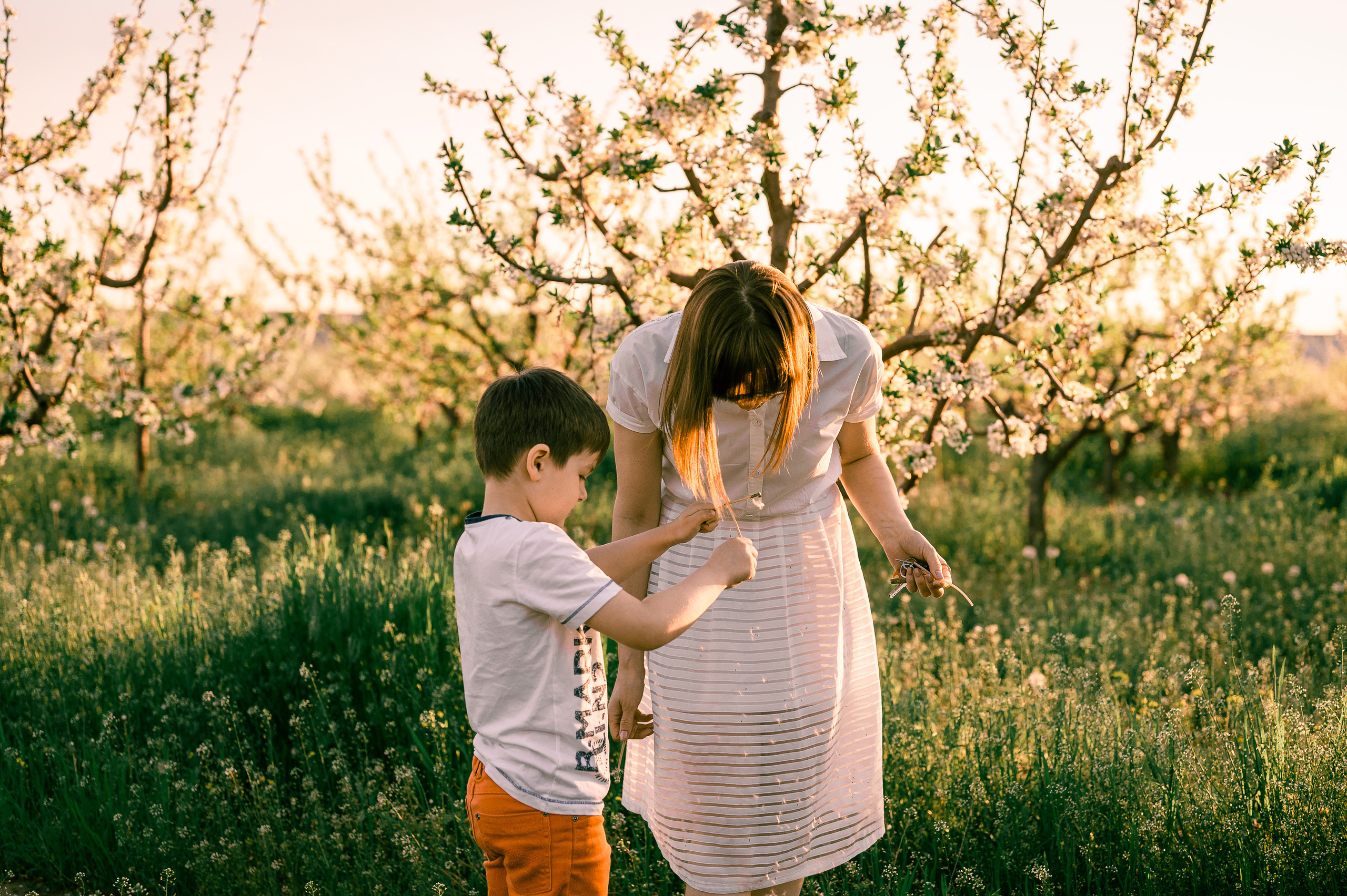 Прогулка по Днестру и саду