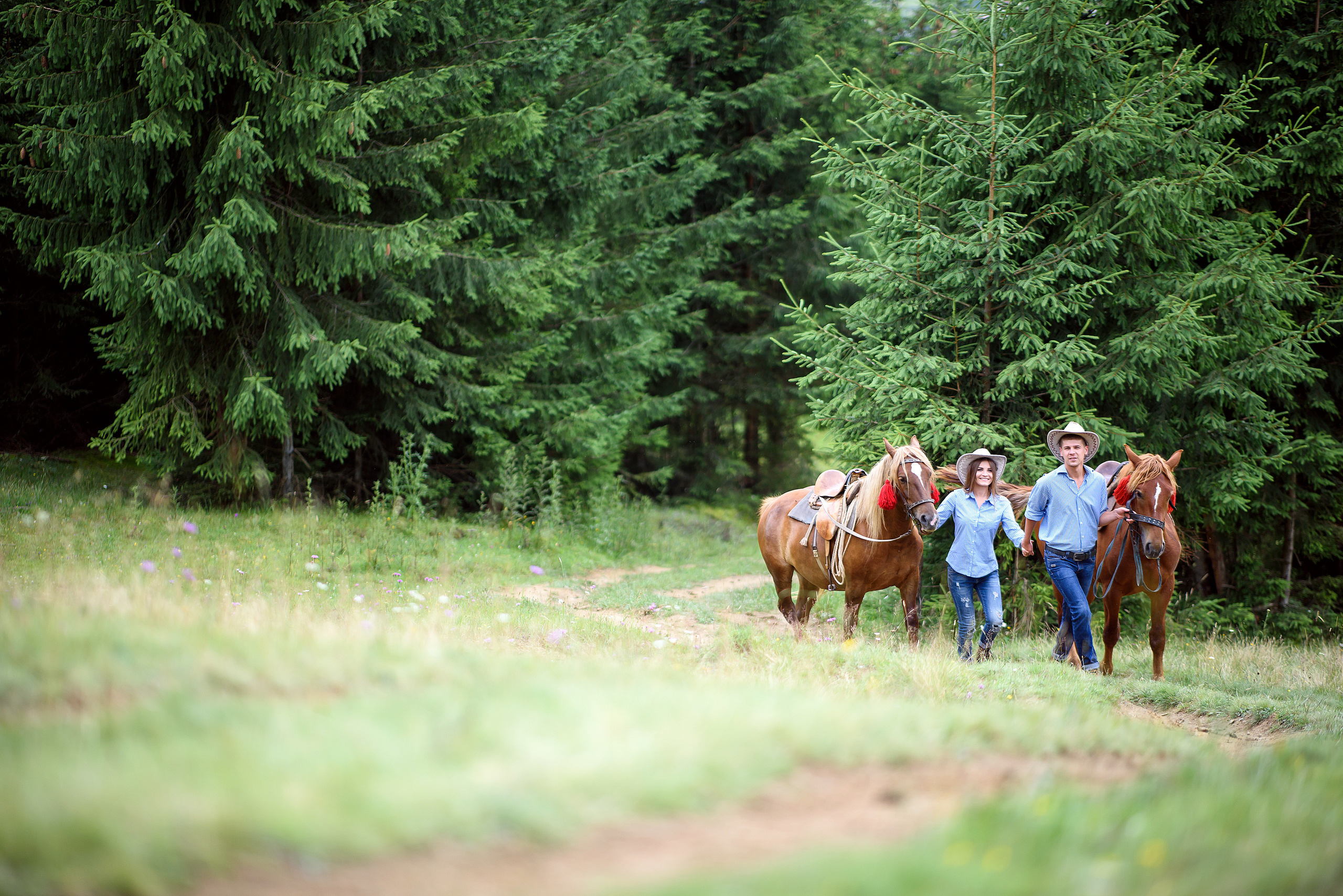 Карпатская история любви