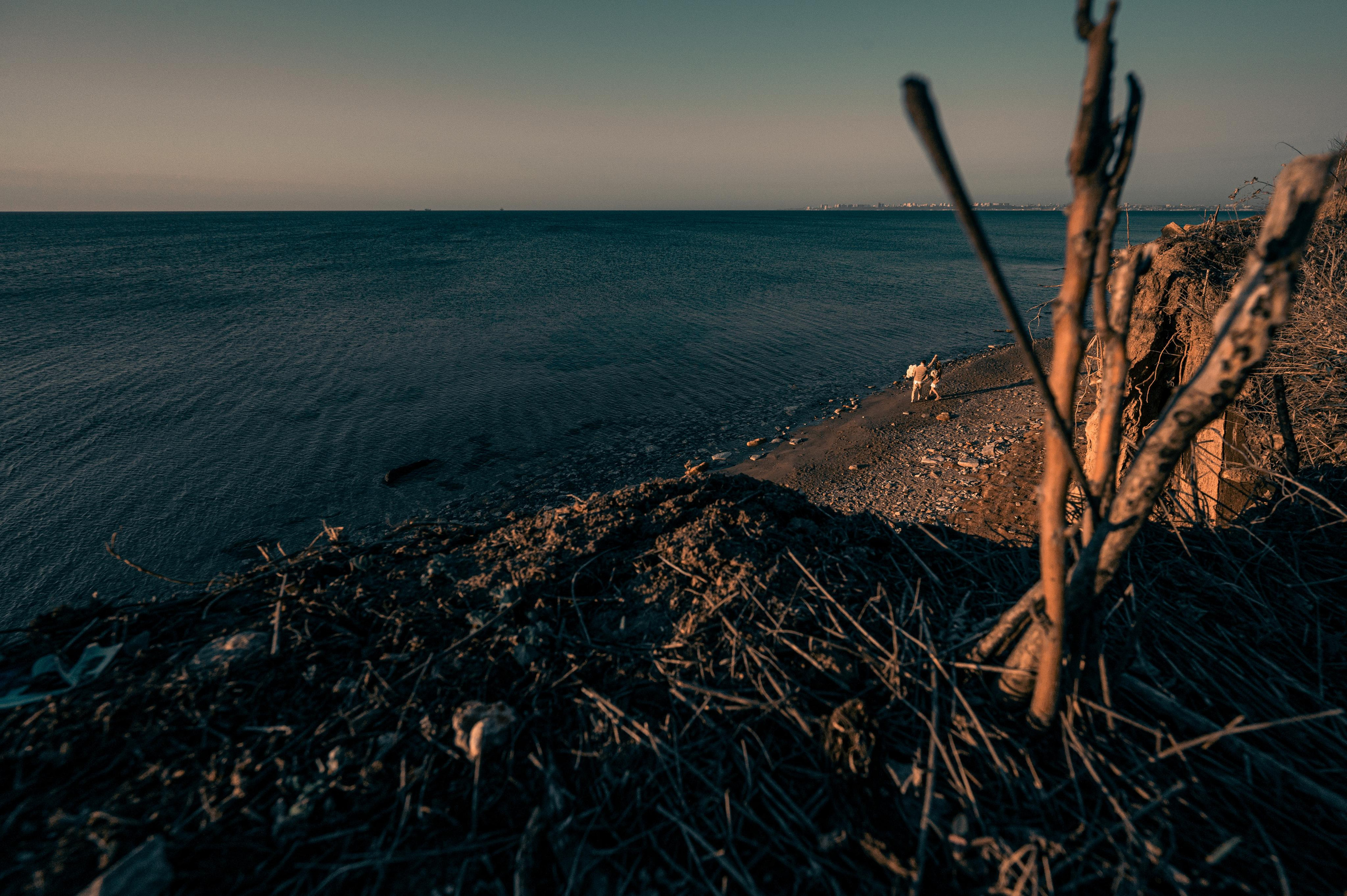 Любовь с нарциссами или рассвет на Фонтанке