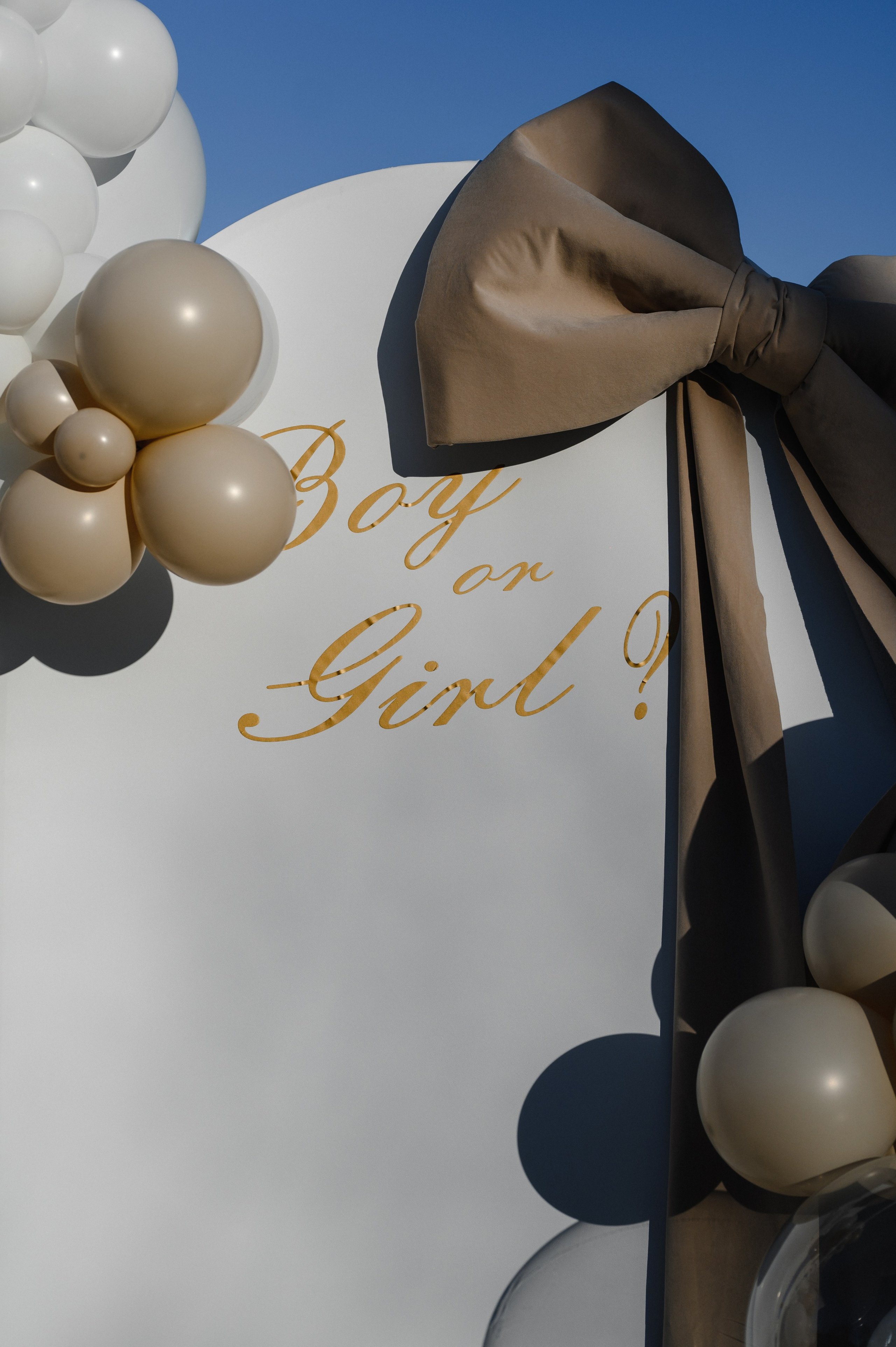 Гендер Пати, Premium park, Кишинев