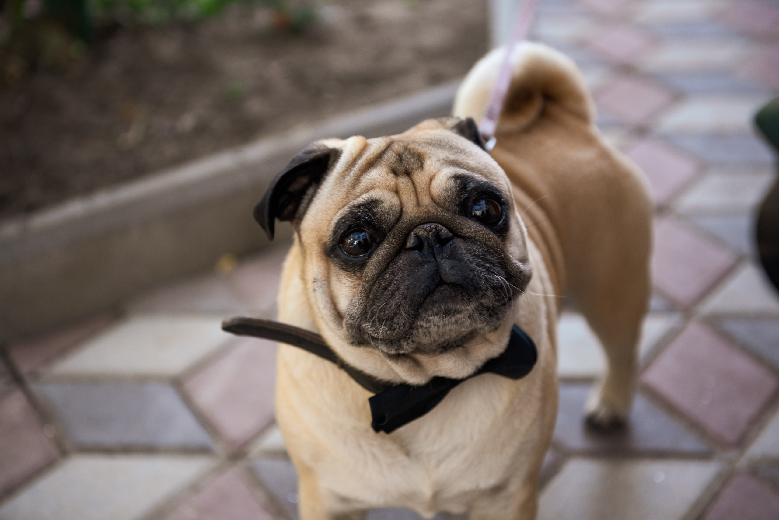 15. 09.19 Александр и Юлия