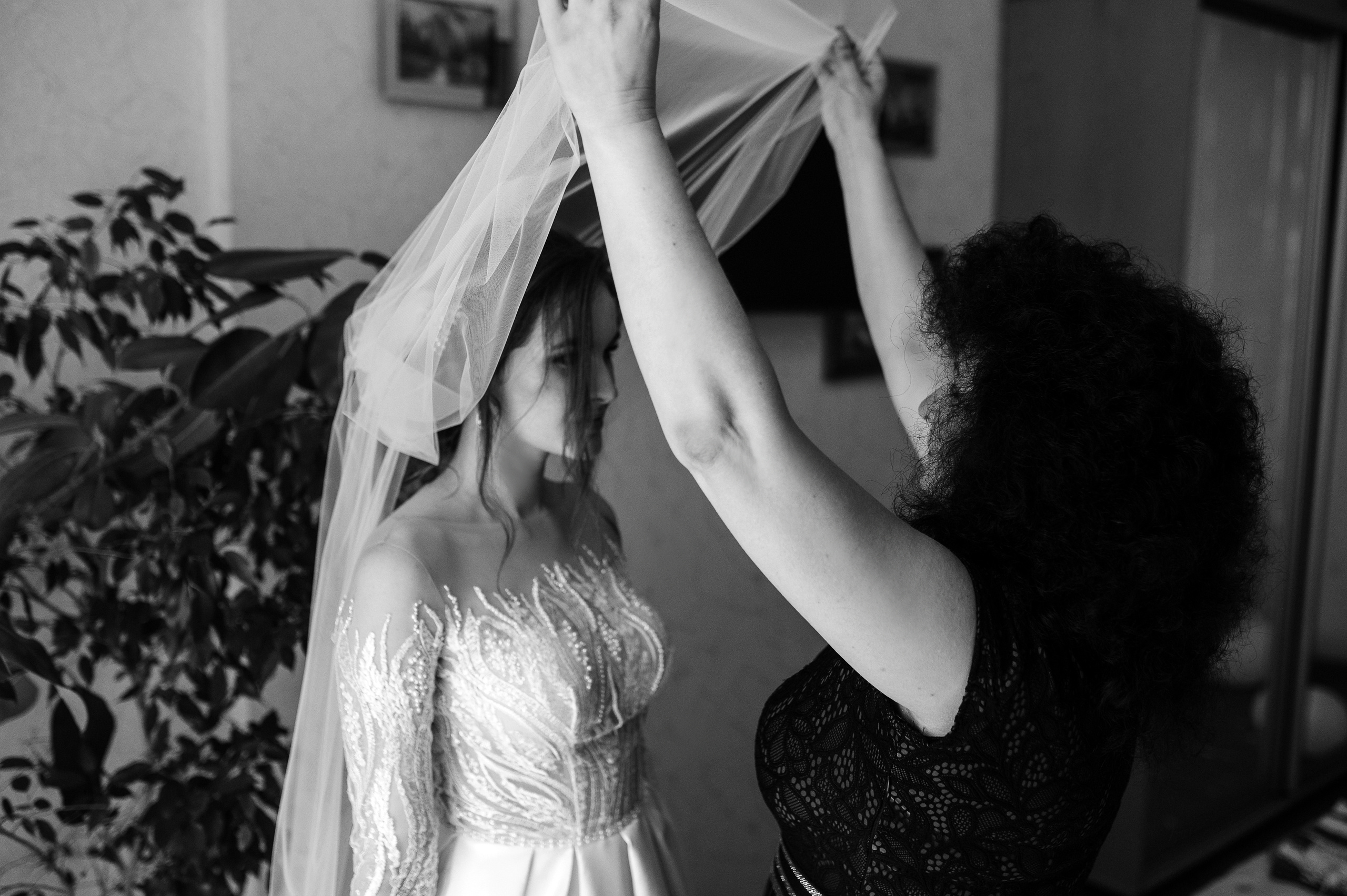 Анонс свадьбы Андрея и Даши