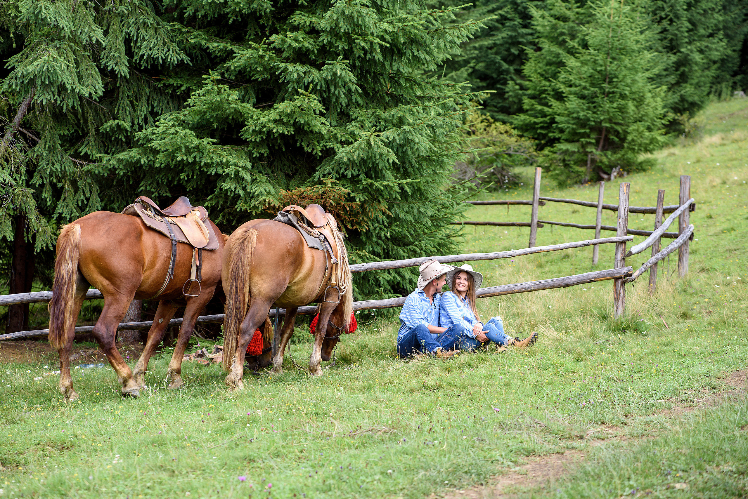 Карпатская история любви