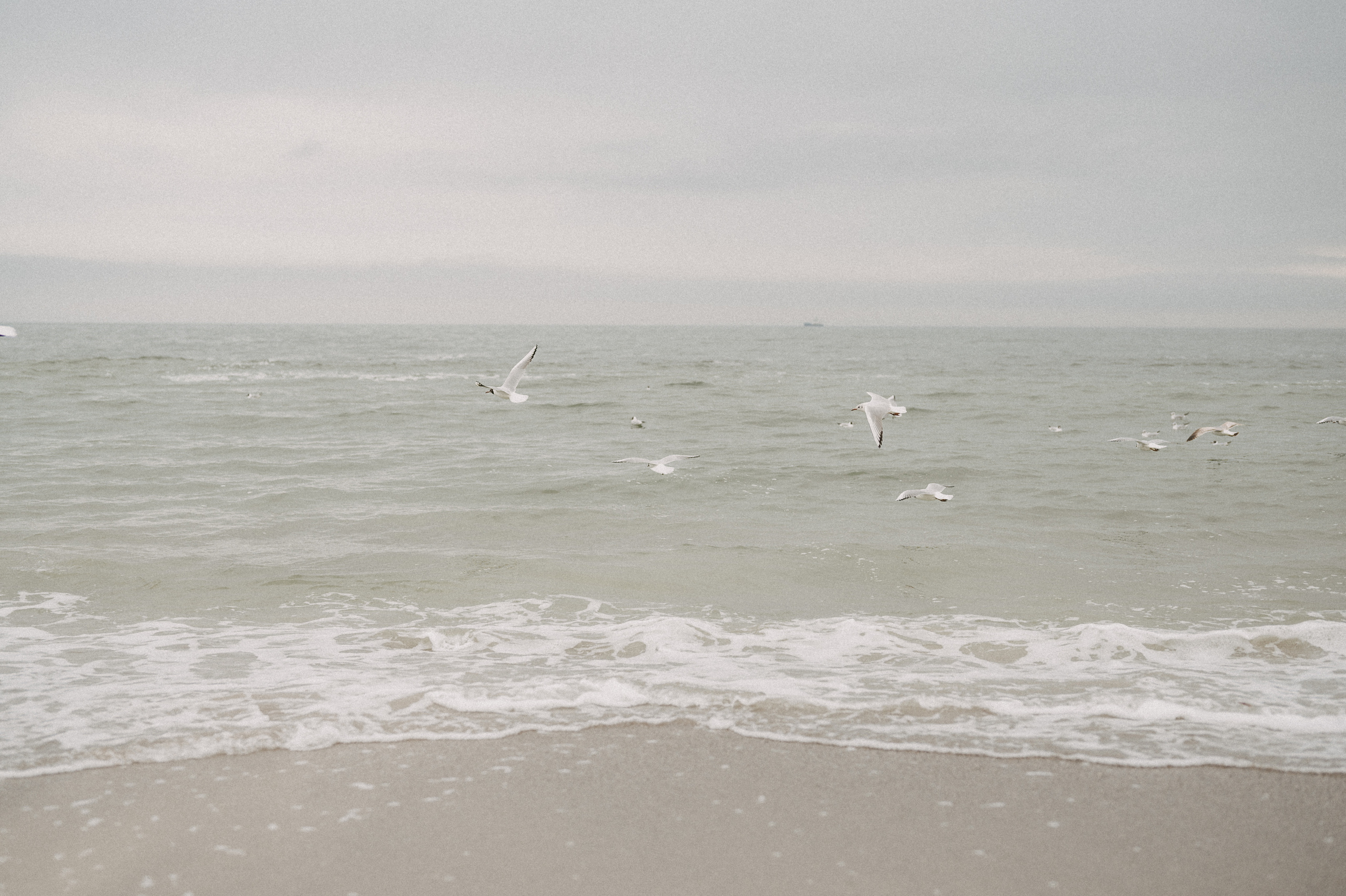 Макс и Катя приехали в Одессу
