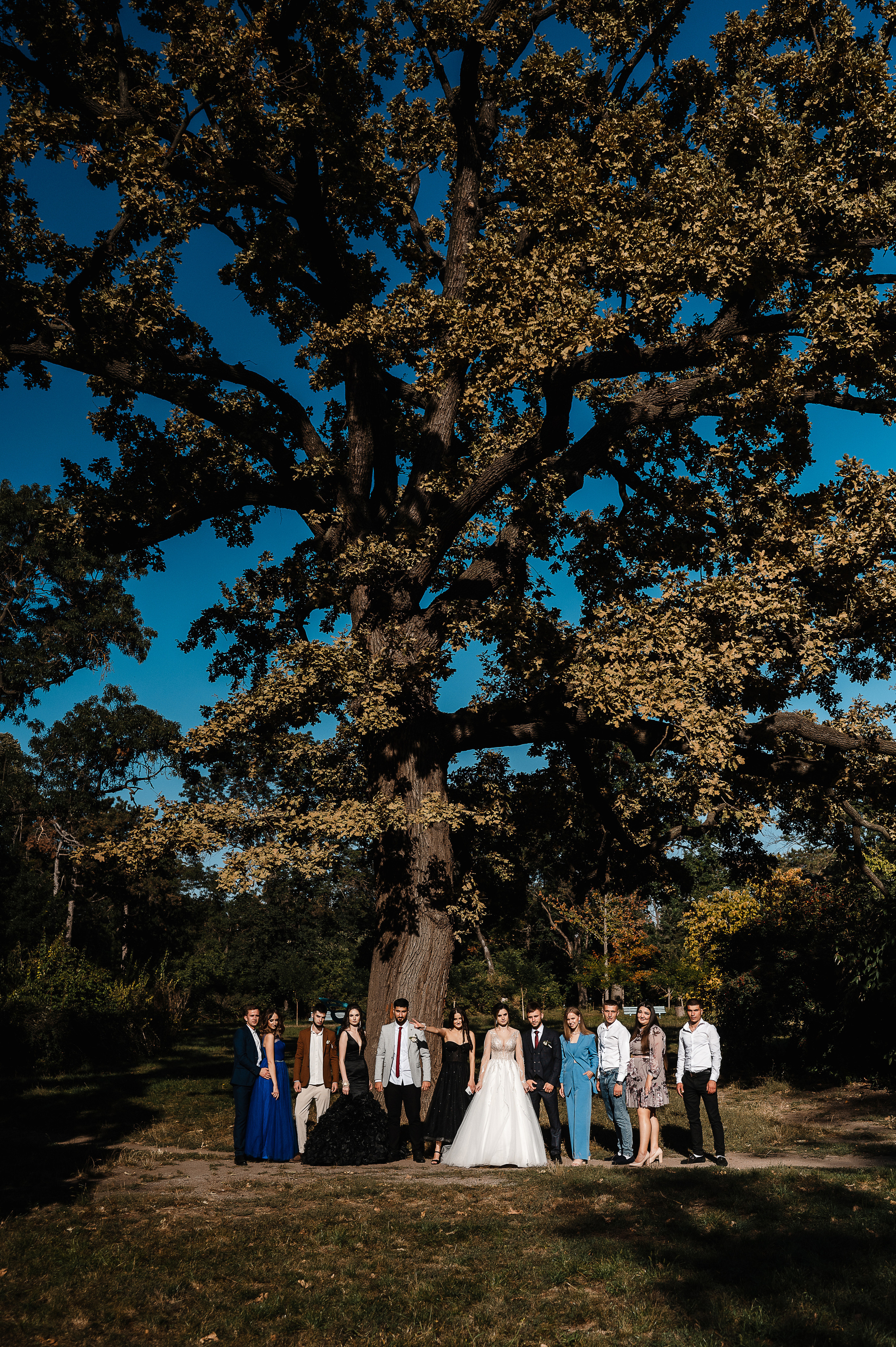 Превью свадьбы Коли и Алены