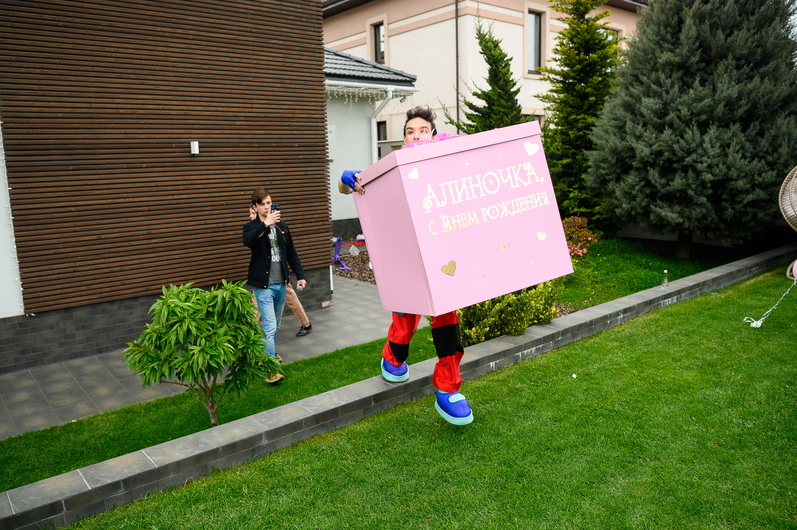 День Рождения Алины