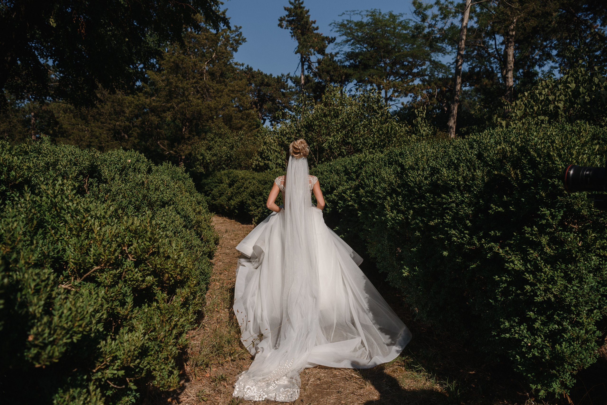 Свадьба Игоря и Тани. 24.07.2020