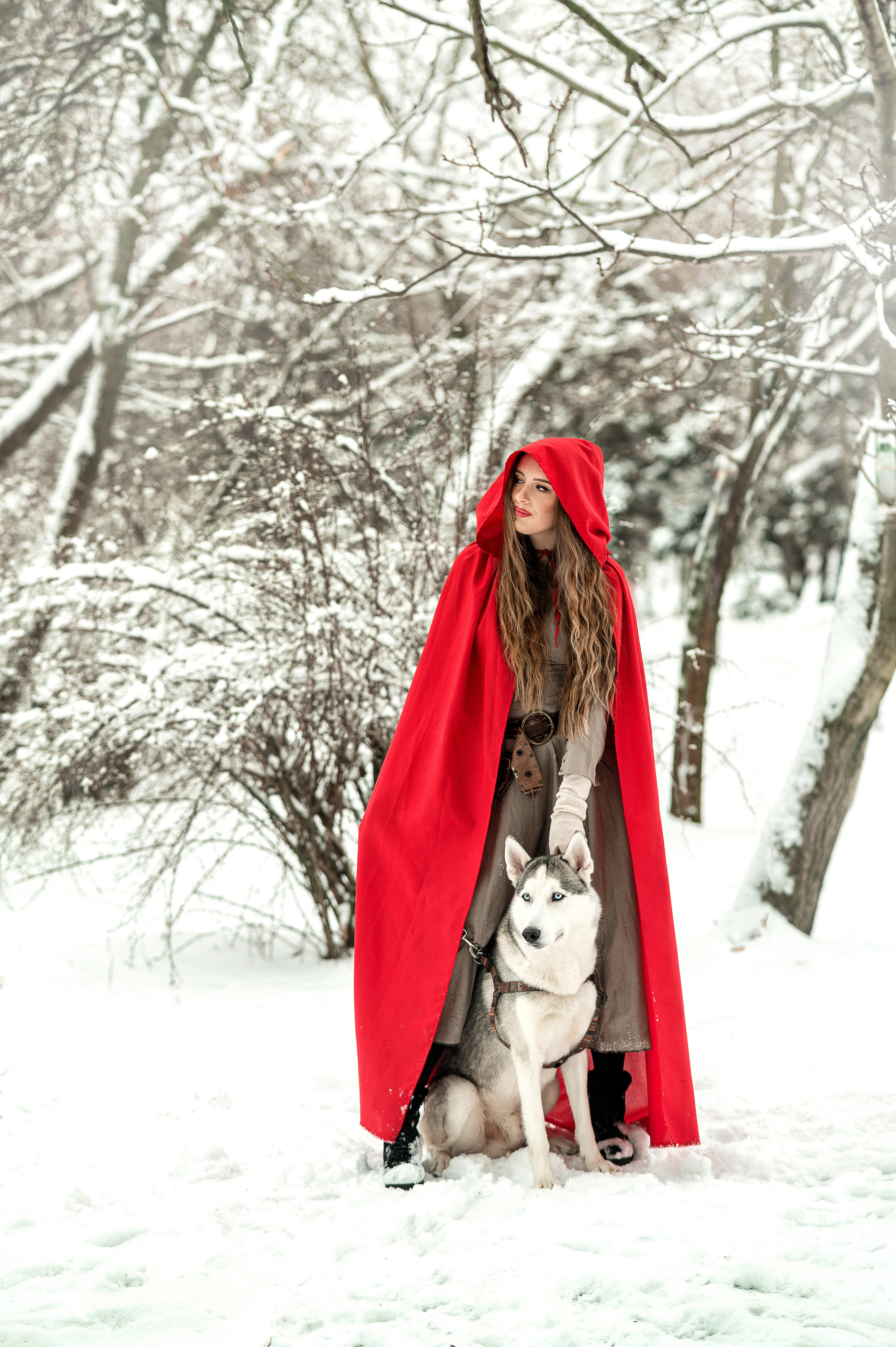 Красная шапочка