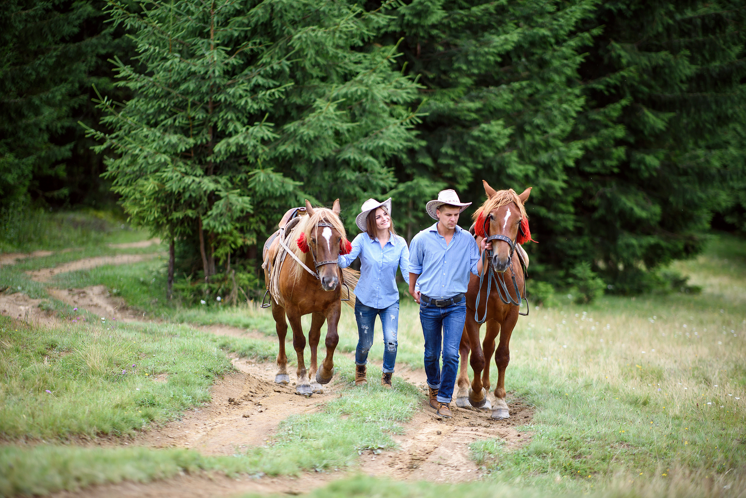 Карпатская история любви