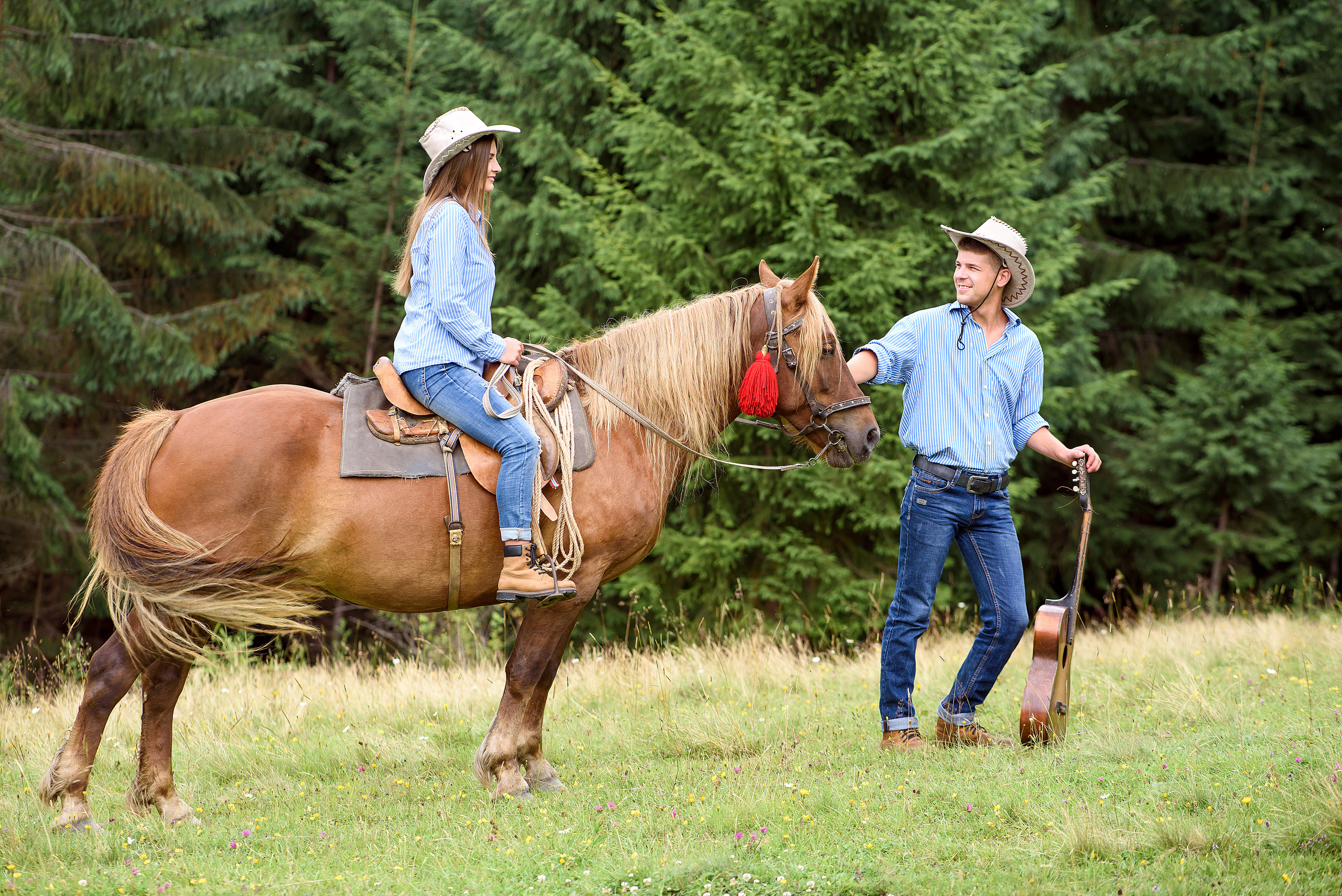 Карпатская история любви