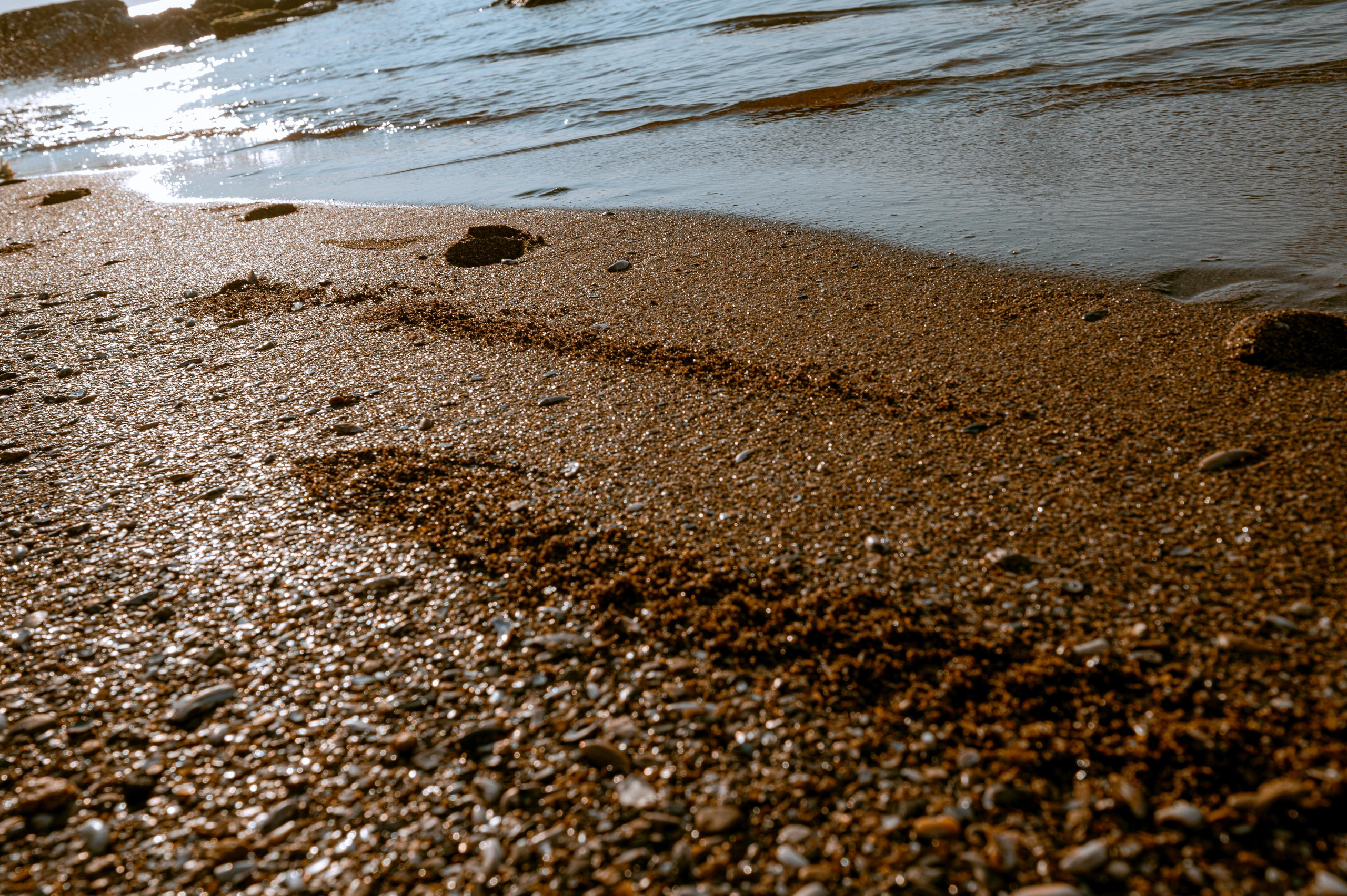 Любовь с нарциссами или рассвет на Фонтанке