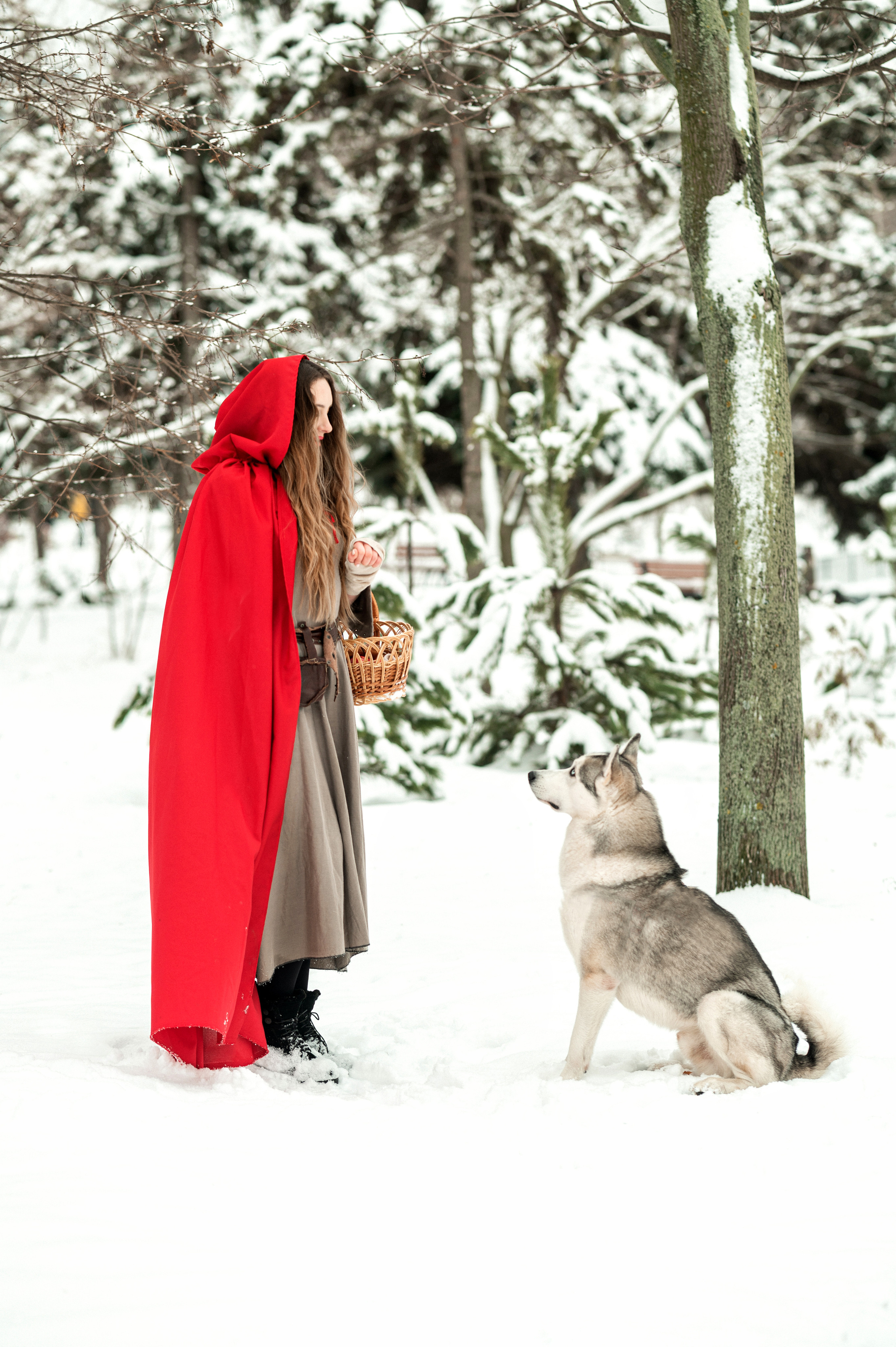 Красная шапочка