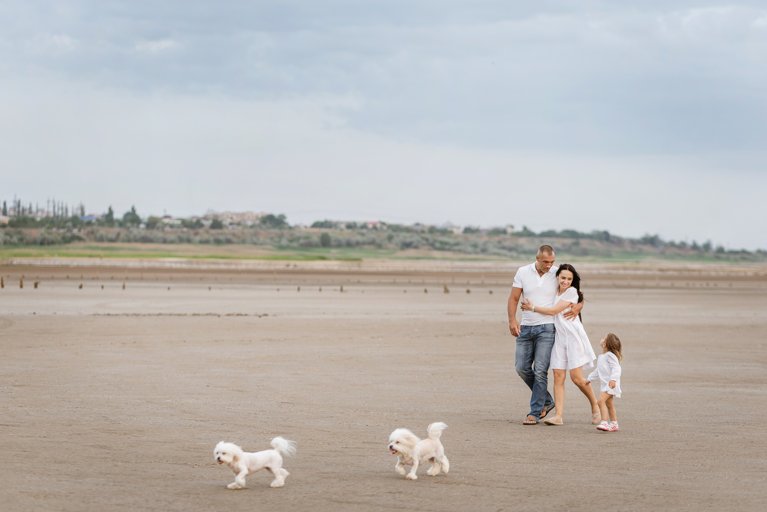 Малышка Аля и 2 болонки