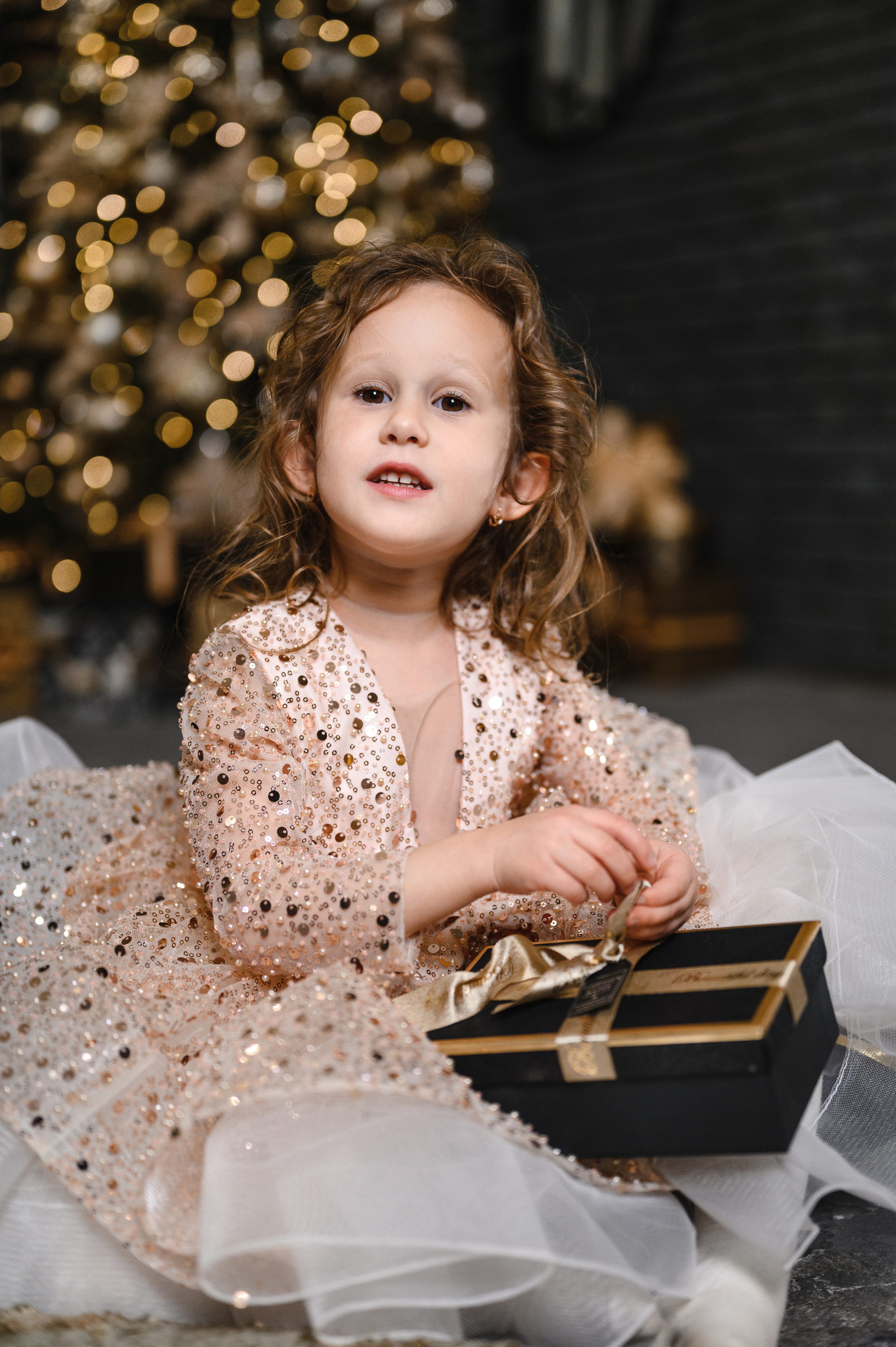 Новогодняя семейная сьемка для Паличевых. Budu Art