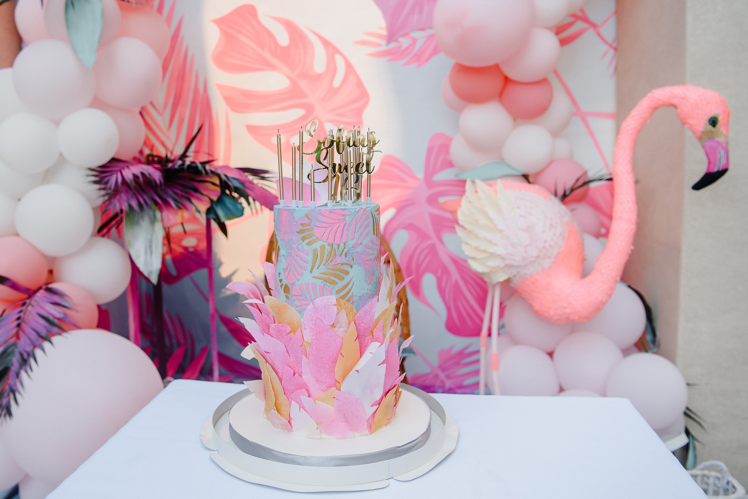 День Рождения Софии 16 лет