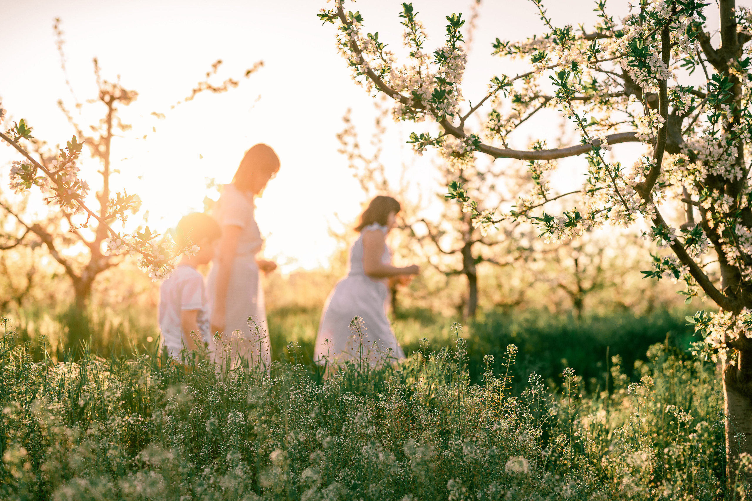 Прогулка по Днестру и саду