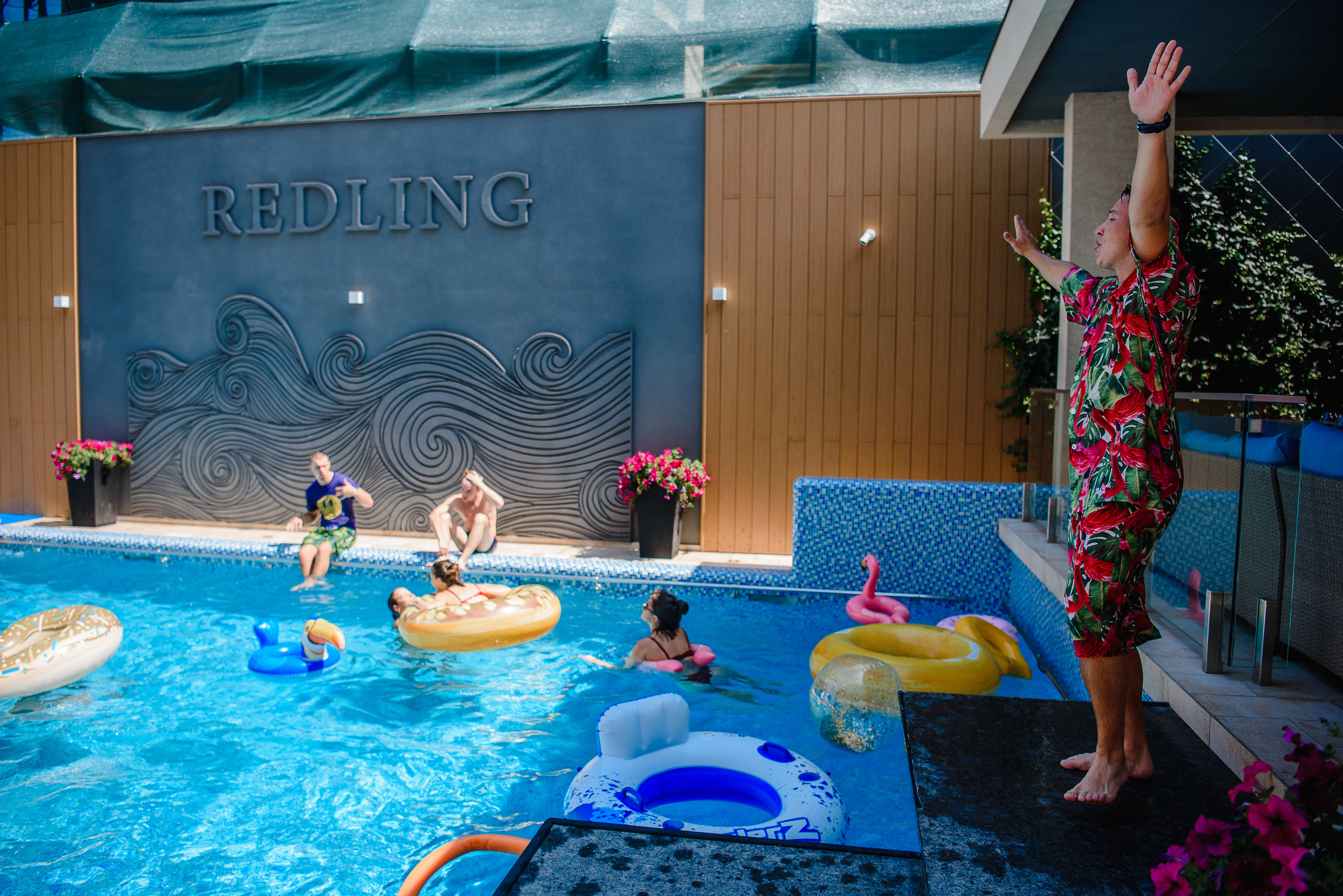 День Рождения Софии 16 лет