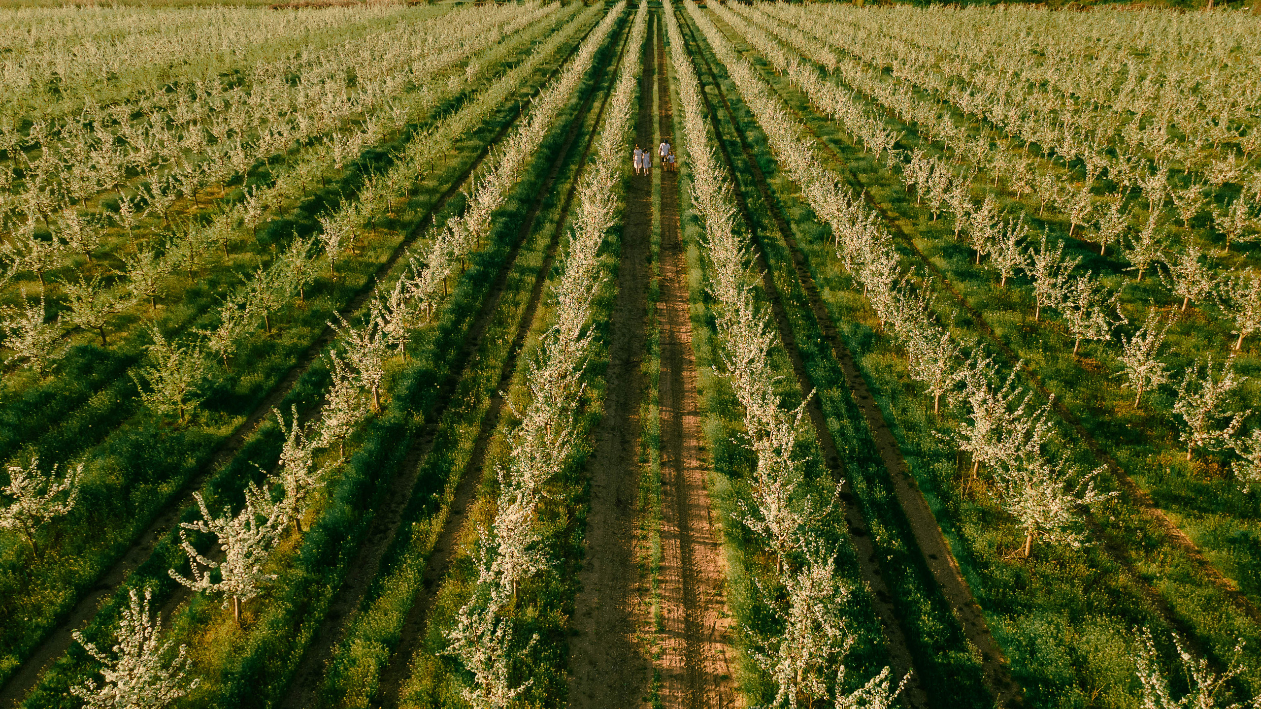 Прогулка по Днестру и саду