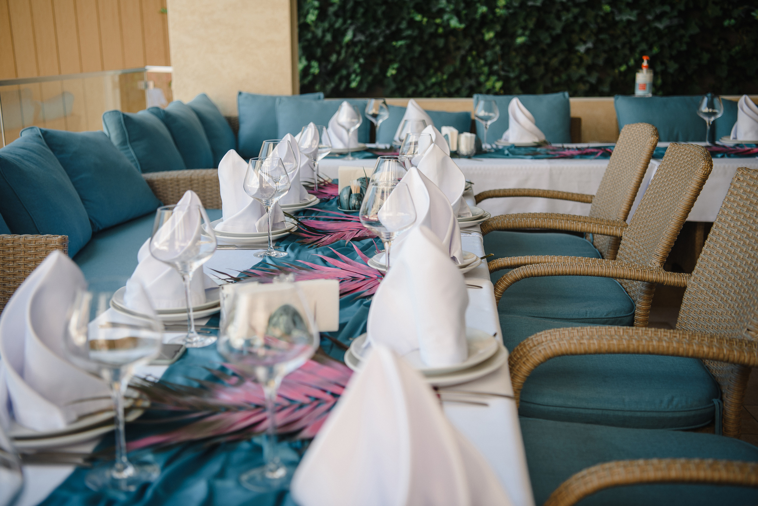 День Рождения Софии 16 лет