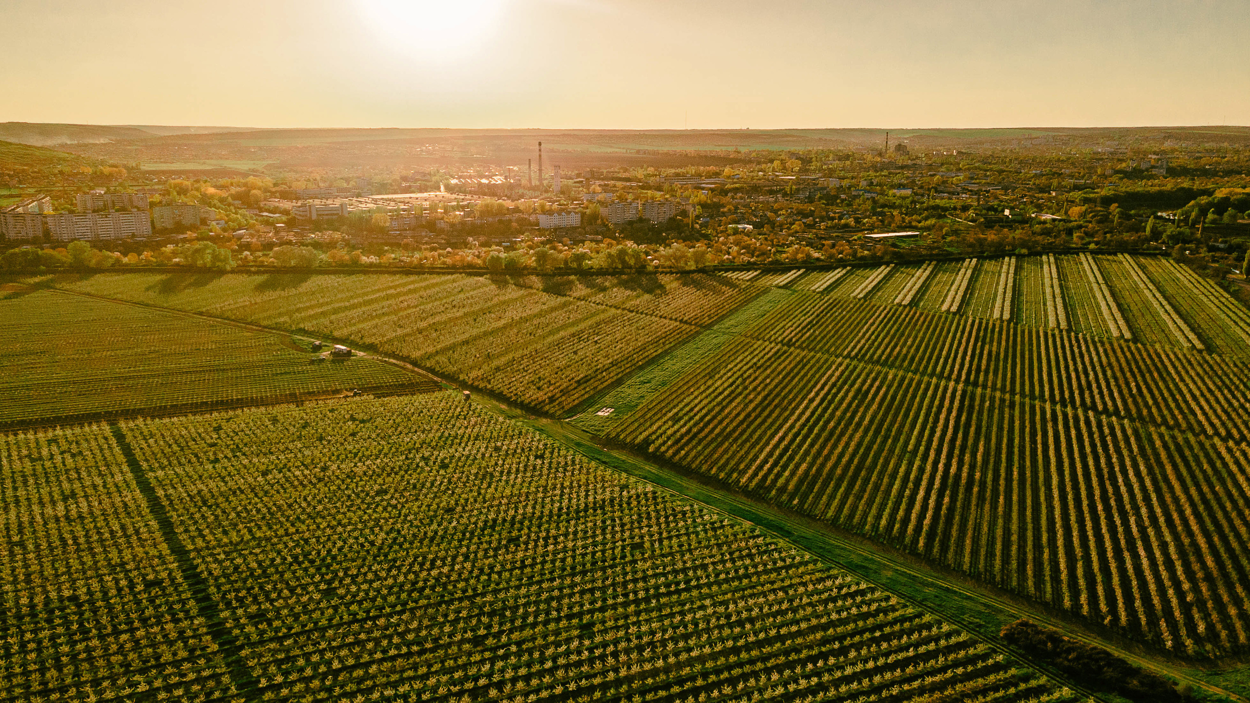 Прогулка по Днестру и саду
