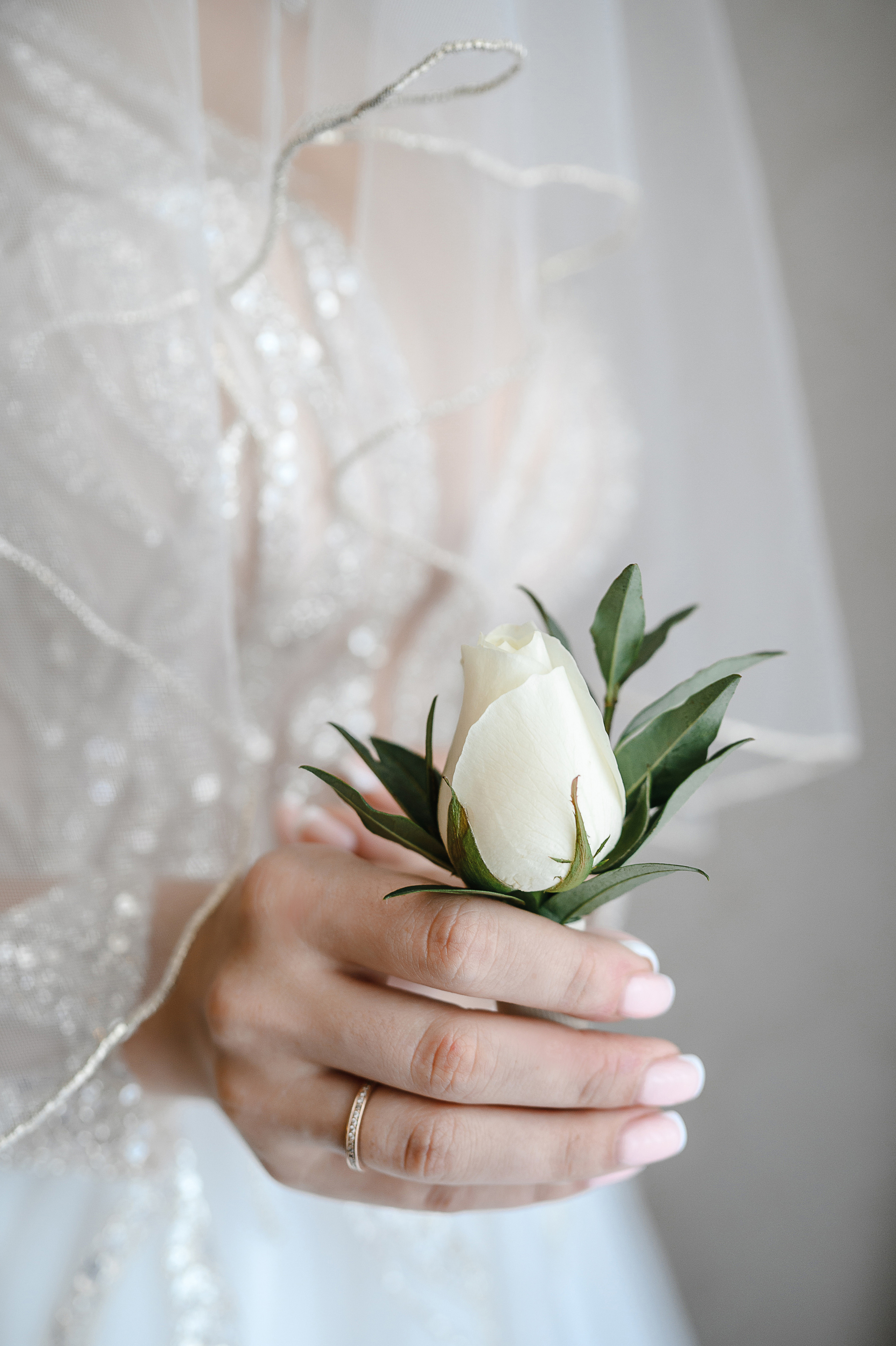 Превью свадьбы Коли и Алены