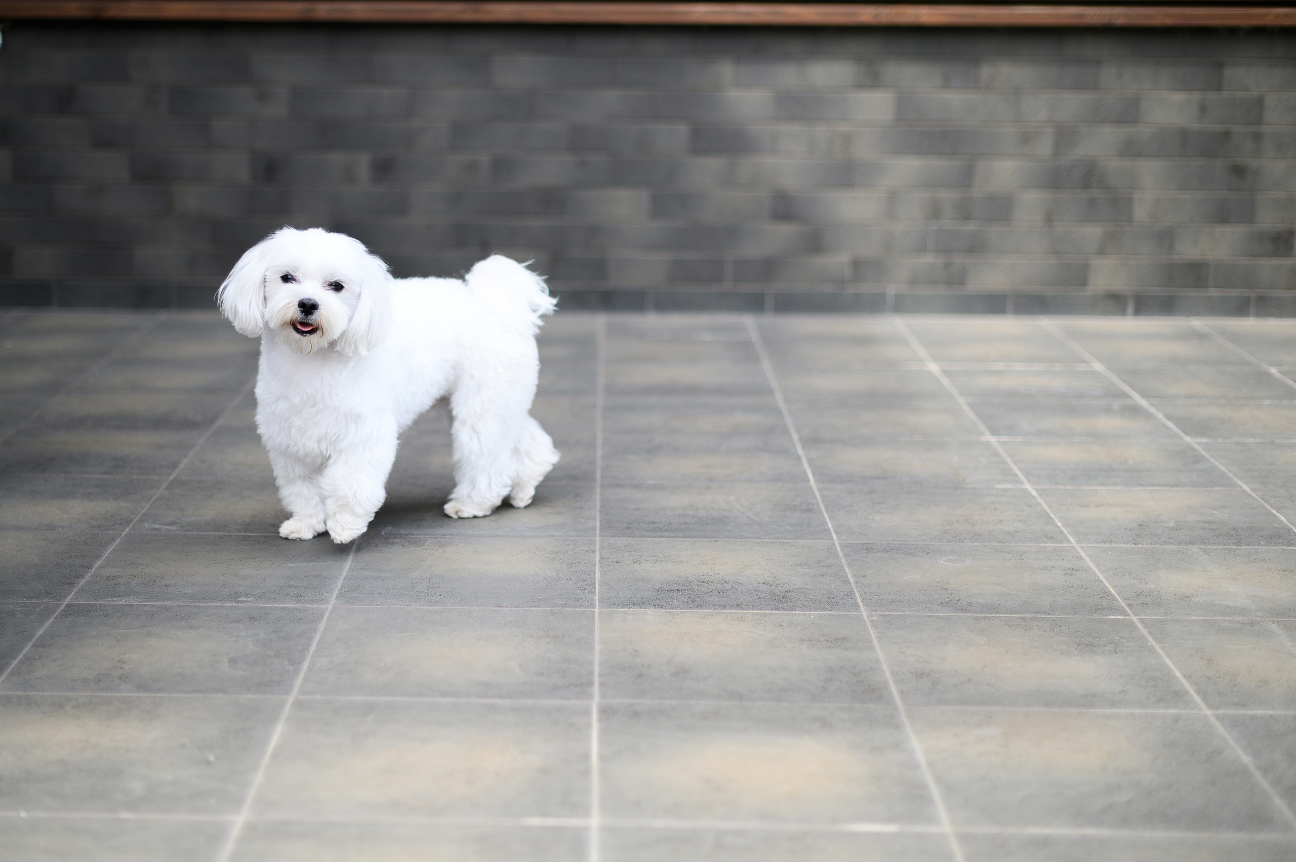 День Рождения Алины