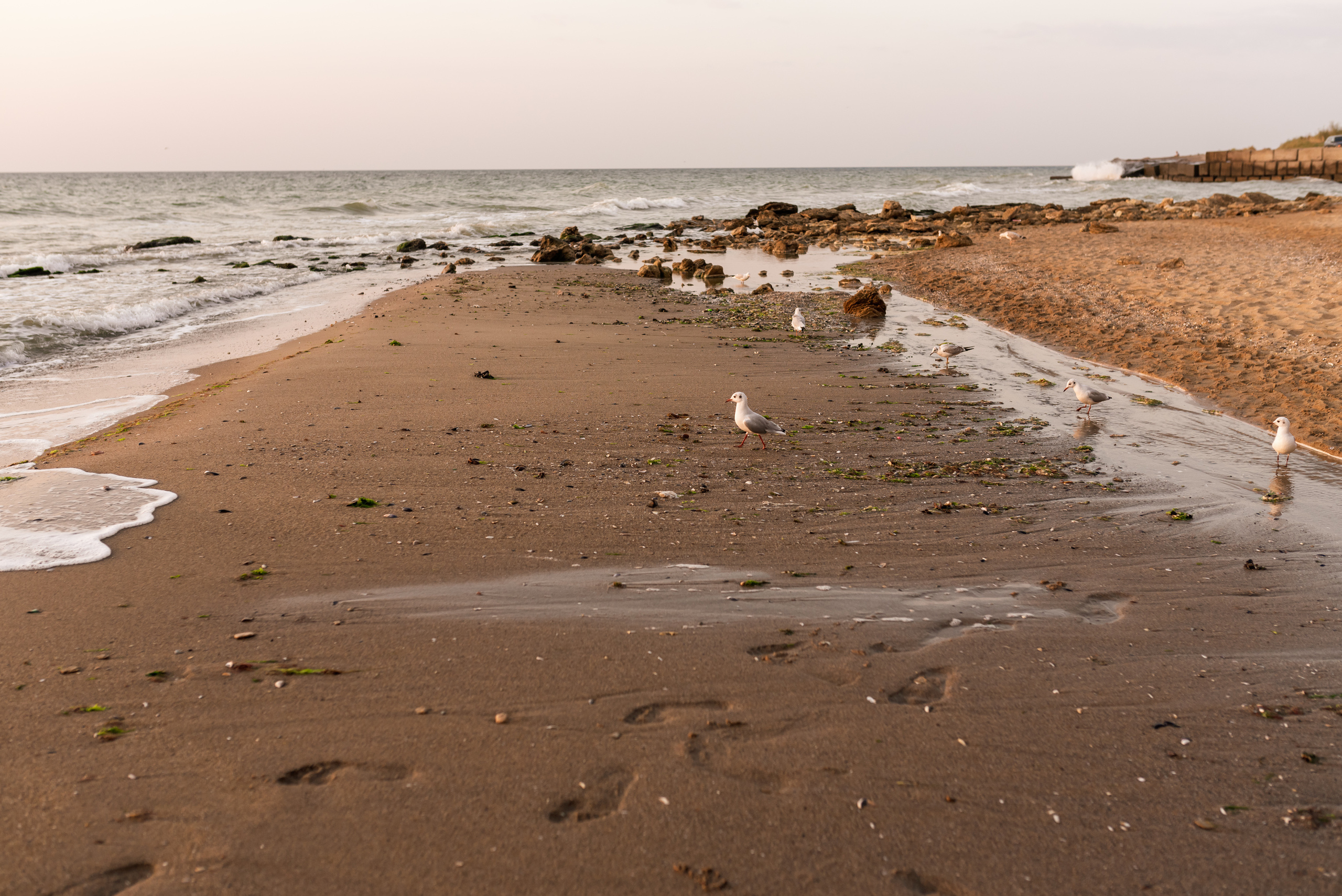 Санжейка, рассвет, Лена и Артём