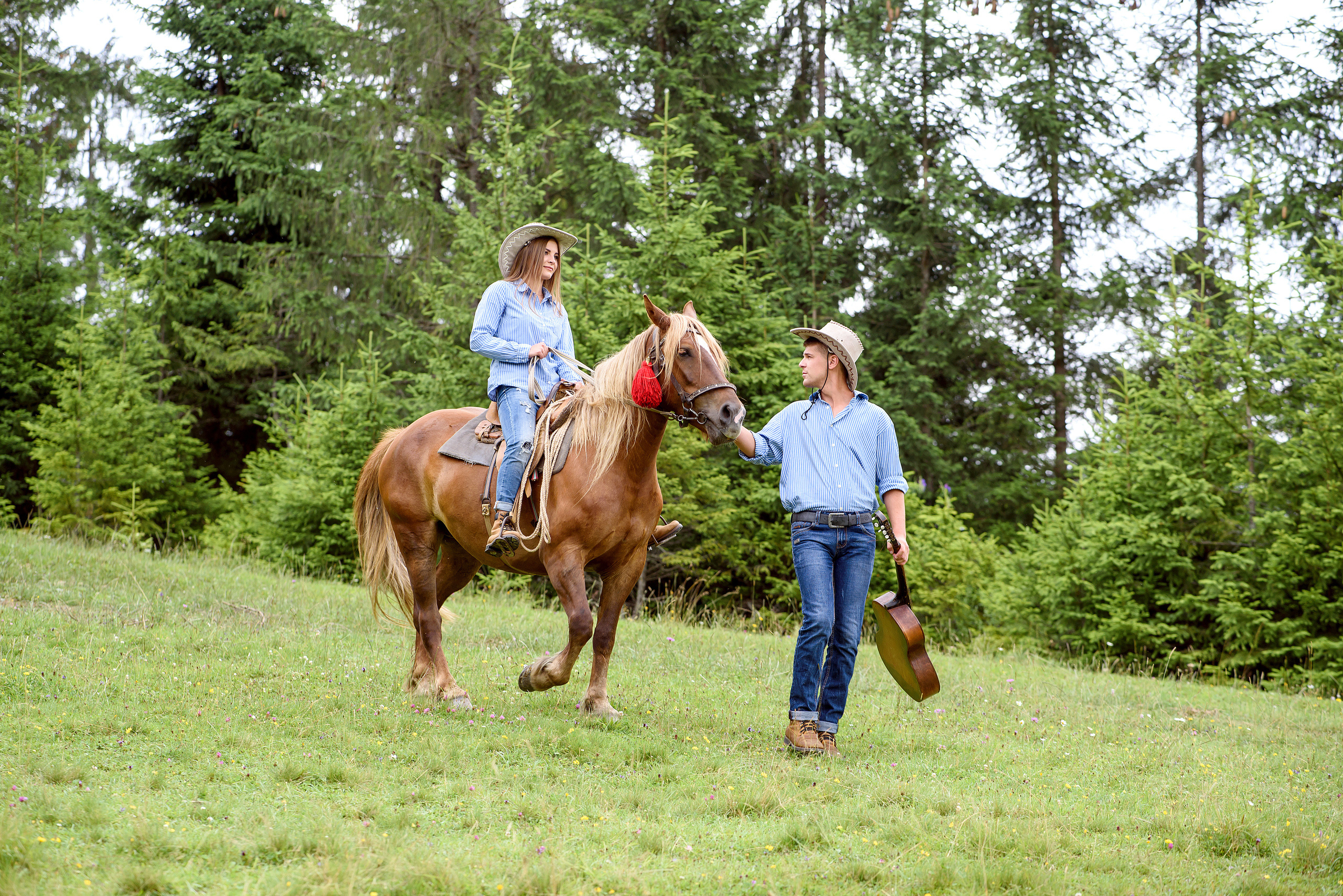 Карпатская история любви