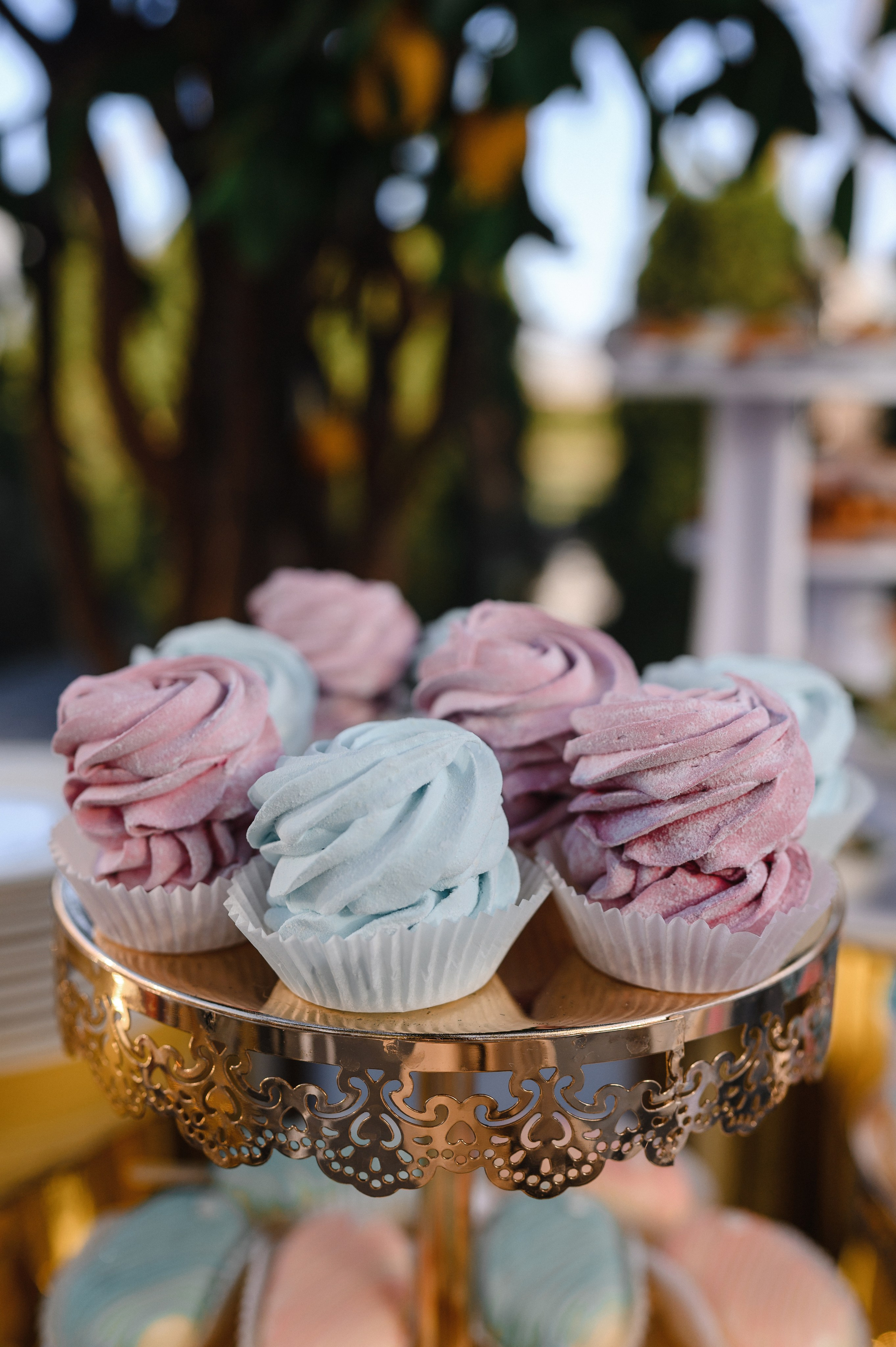 Гендер Пати, Premium park, Кишинев