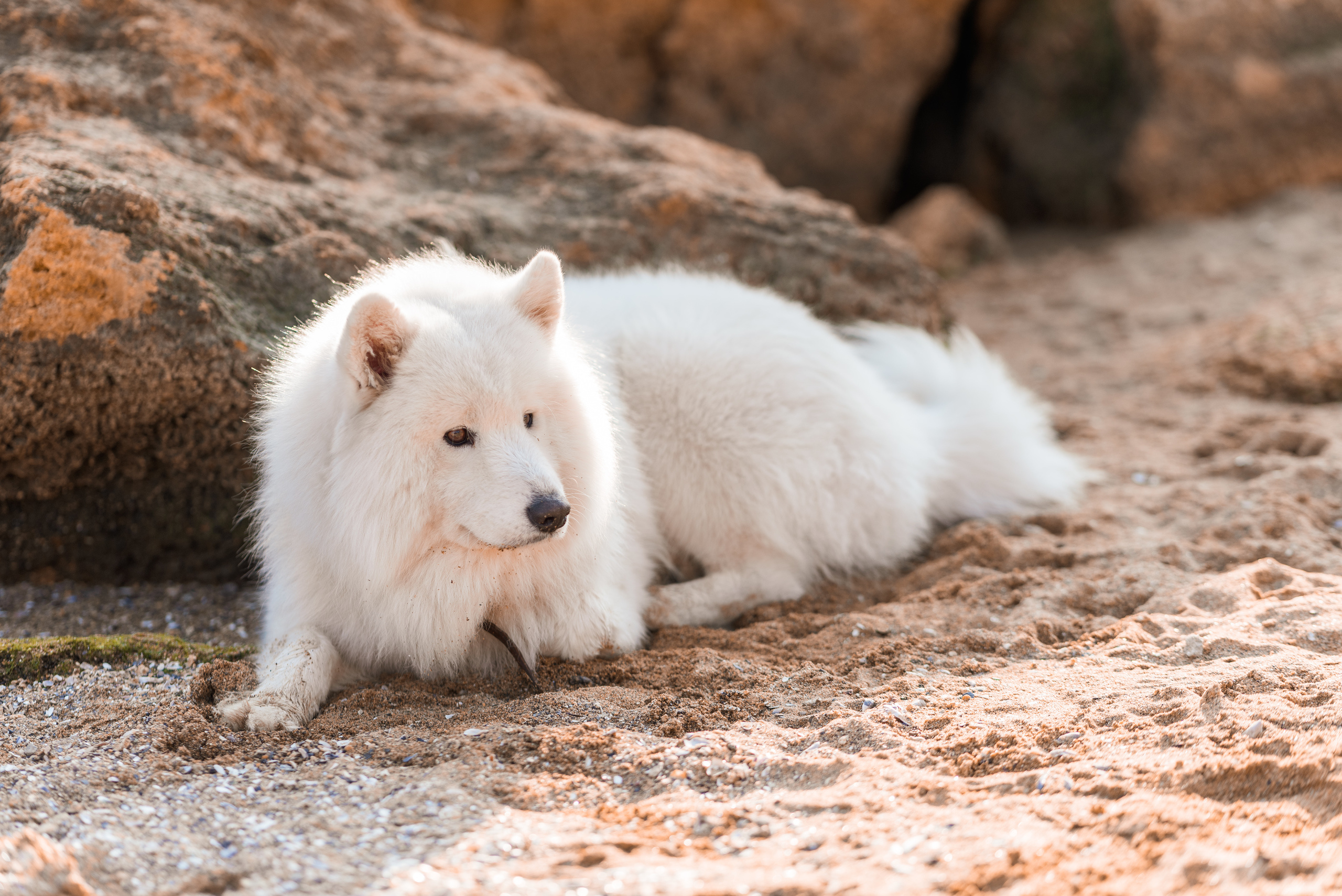 Осенняя прогулка на Фонтанке