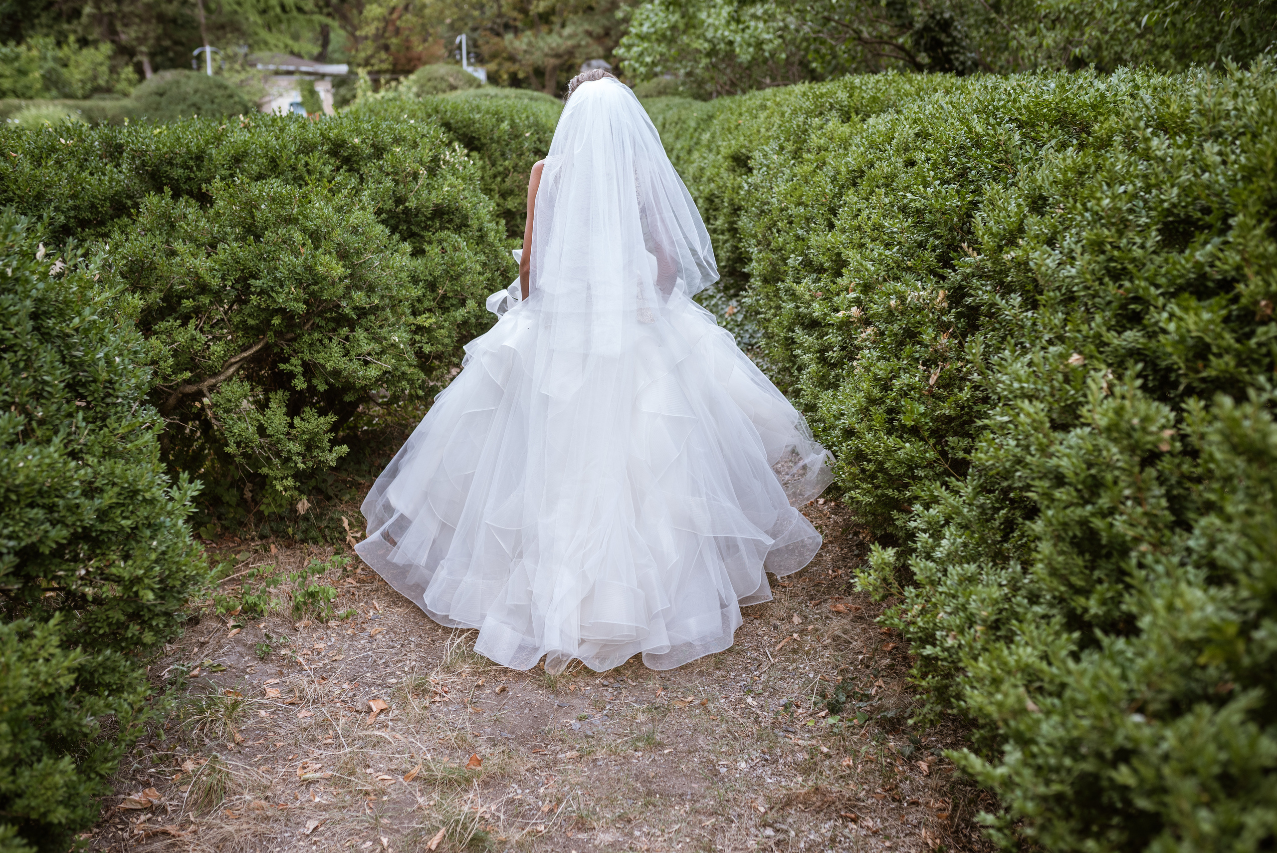 Свадьба Ромы и Вероники