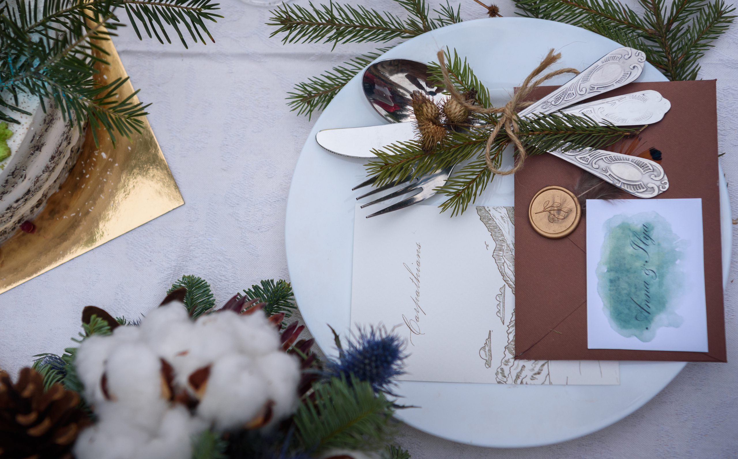 Зимняя свадьба в Карпатах