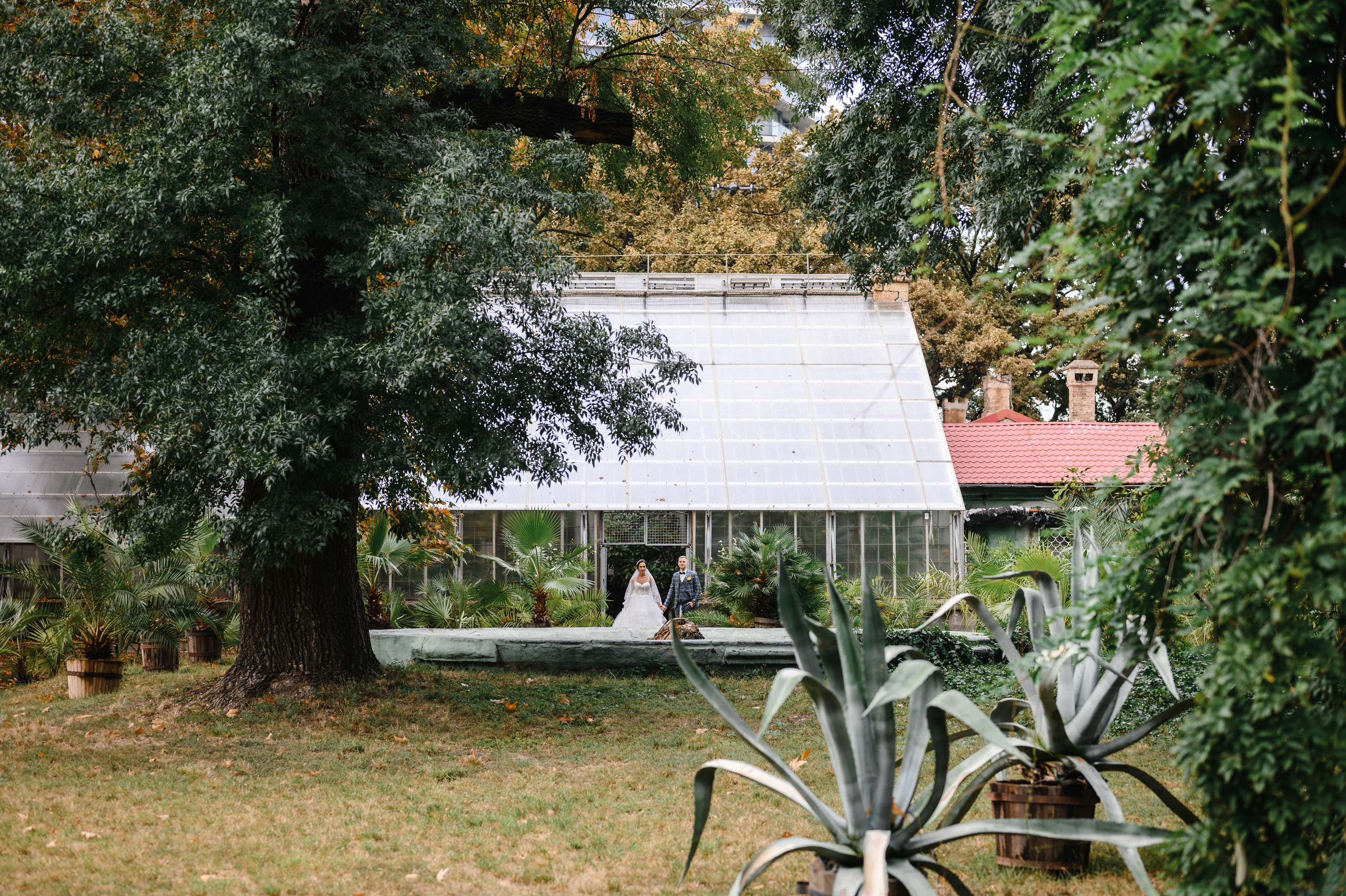 Превью свадьбы Сережи и Даши