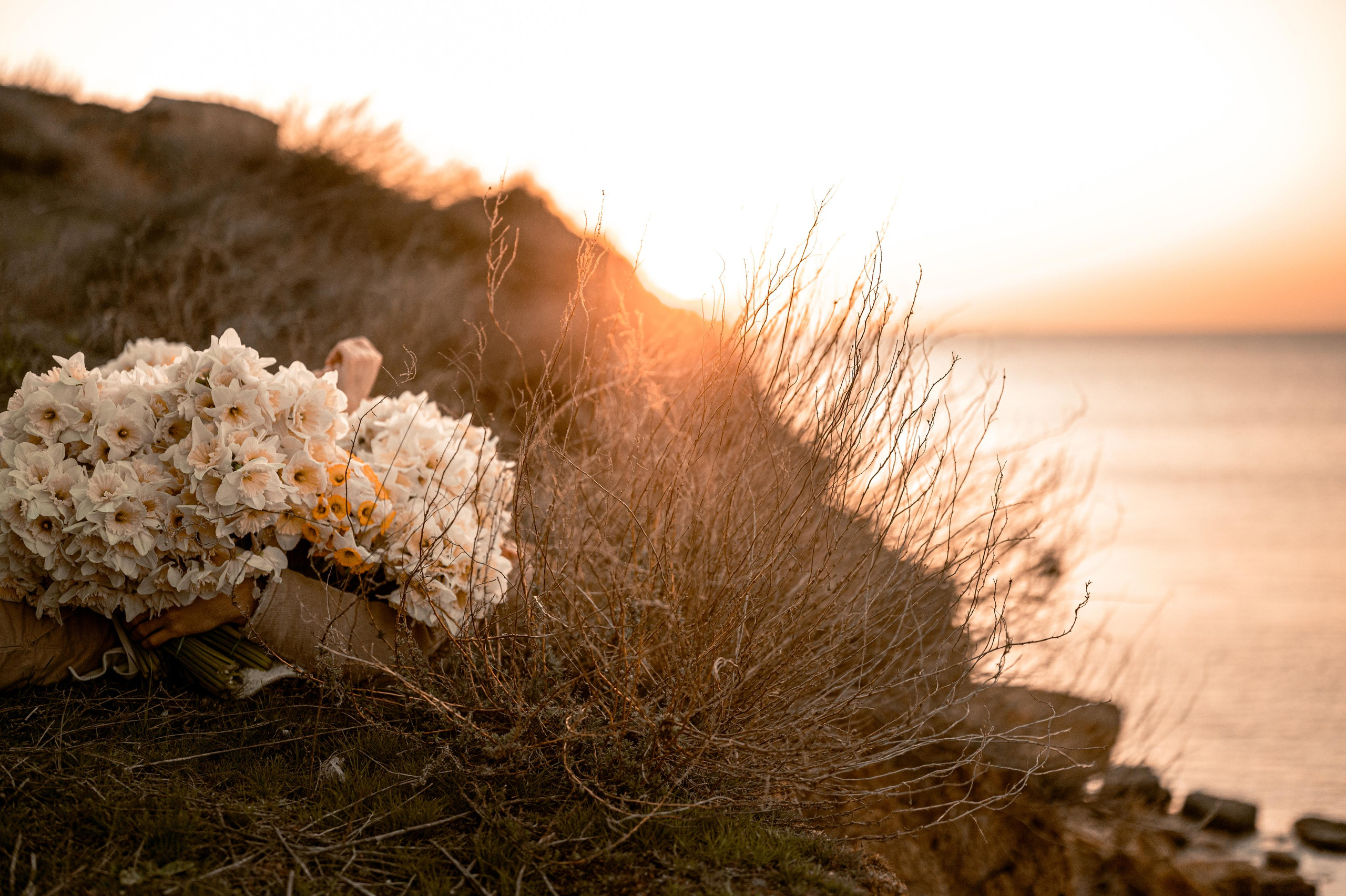 Любовь с нарциссами или рассвет на Фонтанке