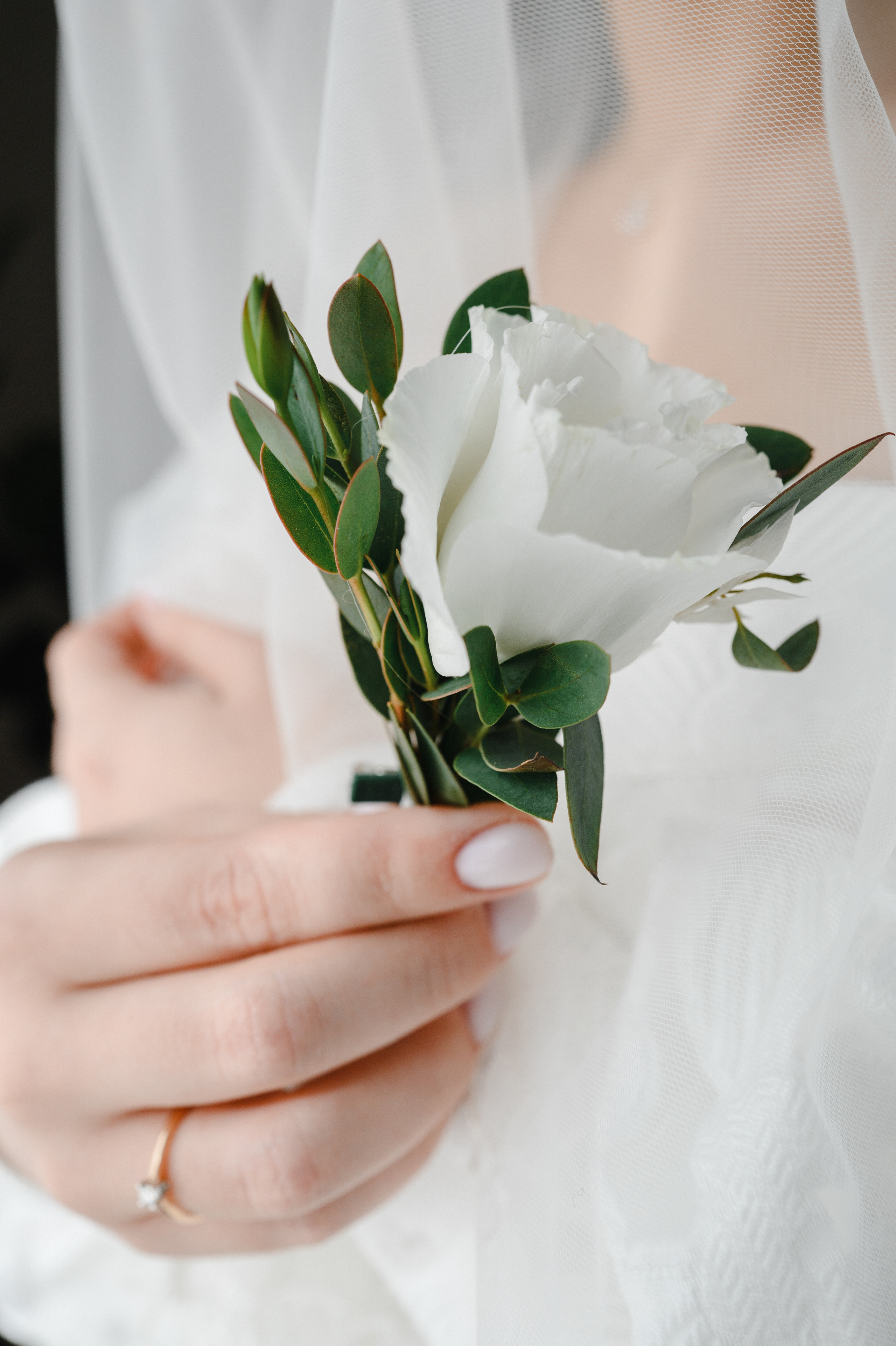 Превью свадьбы Саши и Жени