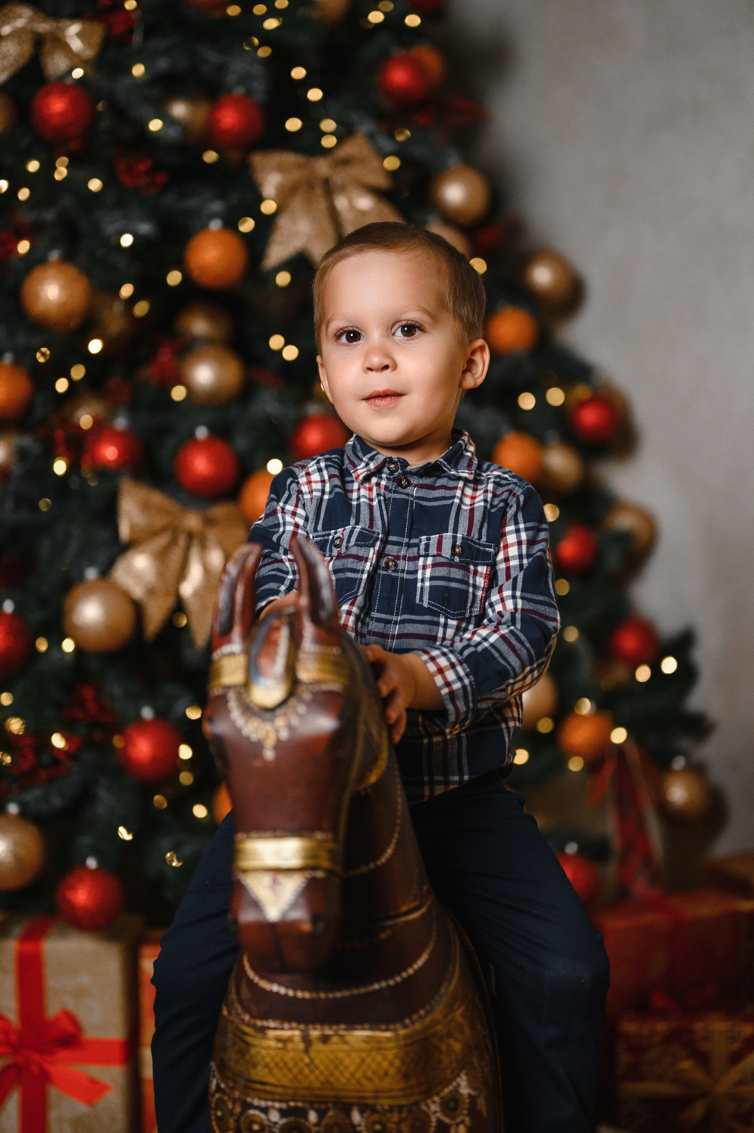 Новогодняя семейная сьемка для Паличевых. Budu Art