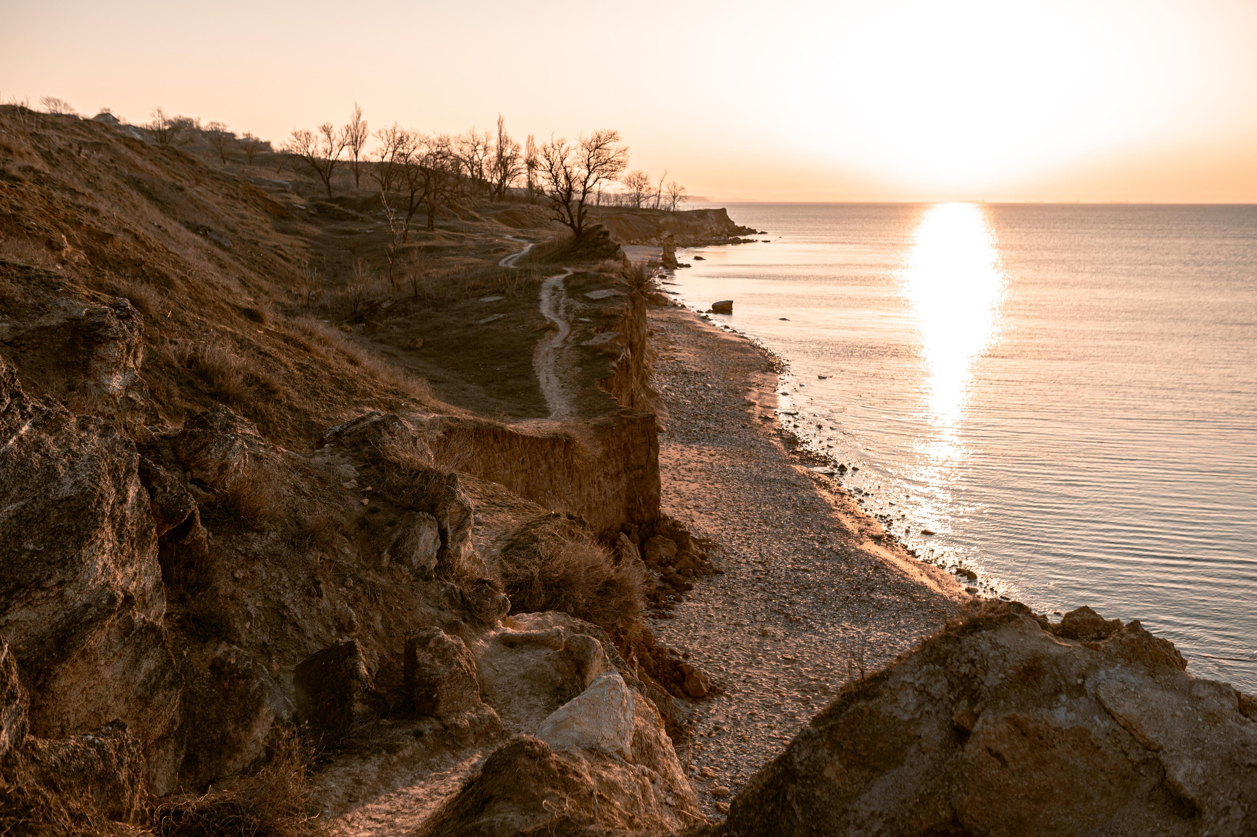 Любовь с нарциссами или рассвет на Фонтанке