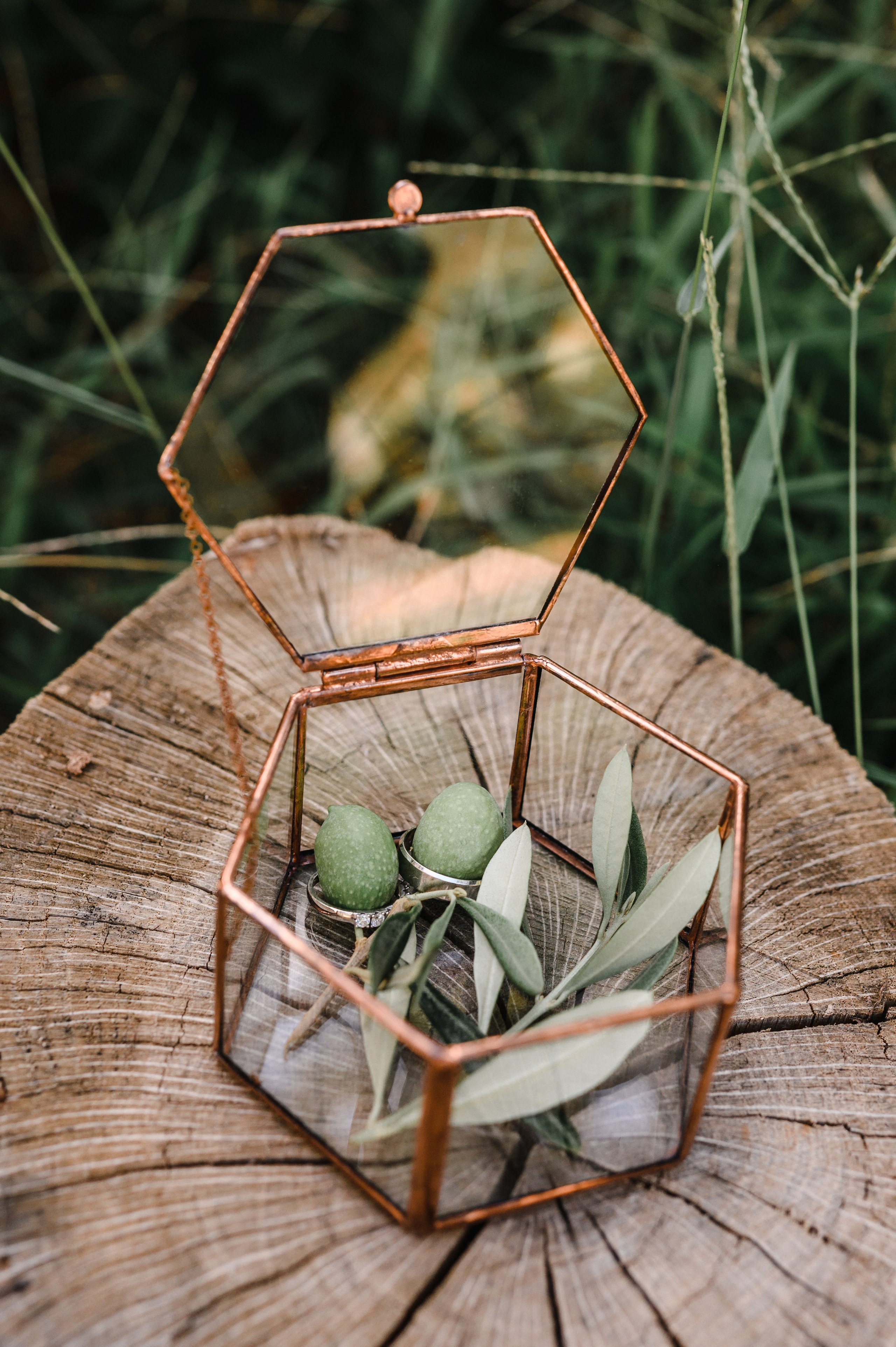 Свадебный фотограф и видеограф в Кишинёве Нина и Алекс