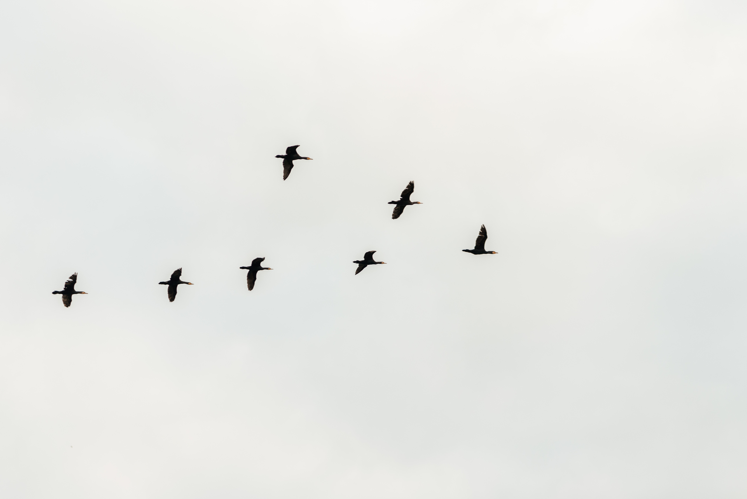 Осенняя прогулка на Фонтанке