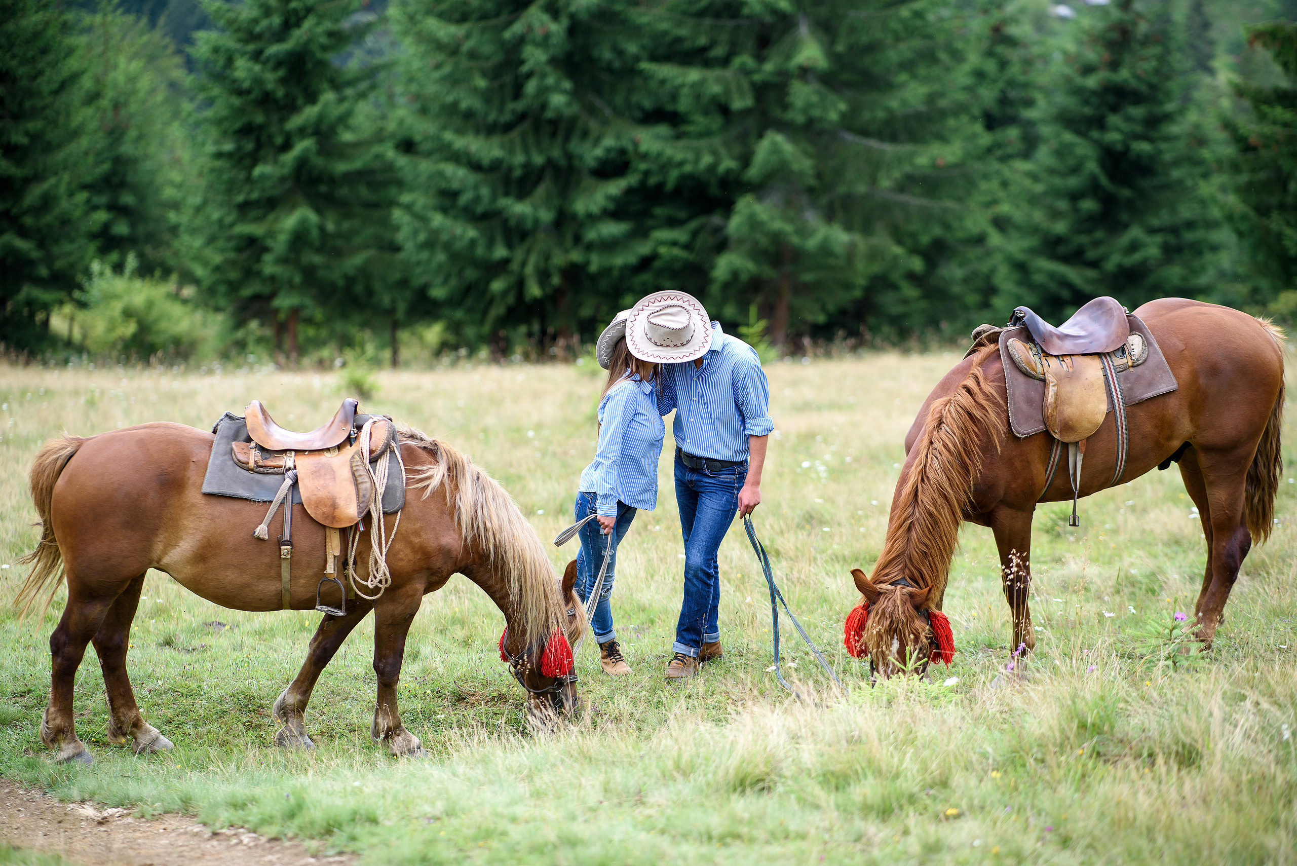 Карпатская история любви